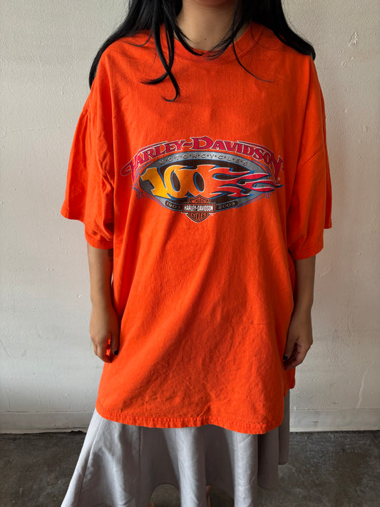 Vintage Harley Davidson Shirt