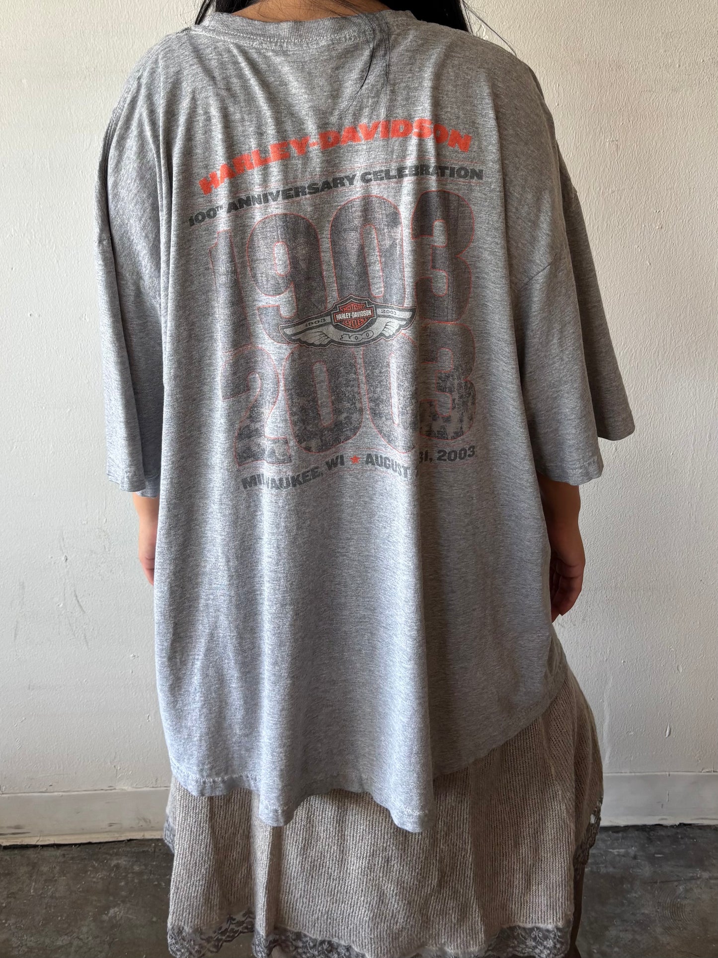 Vintage Harley Davidson Shirt