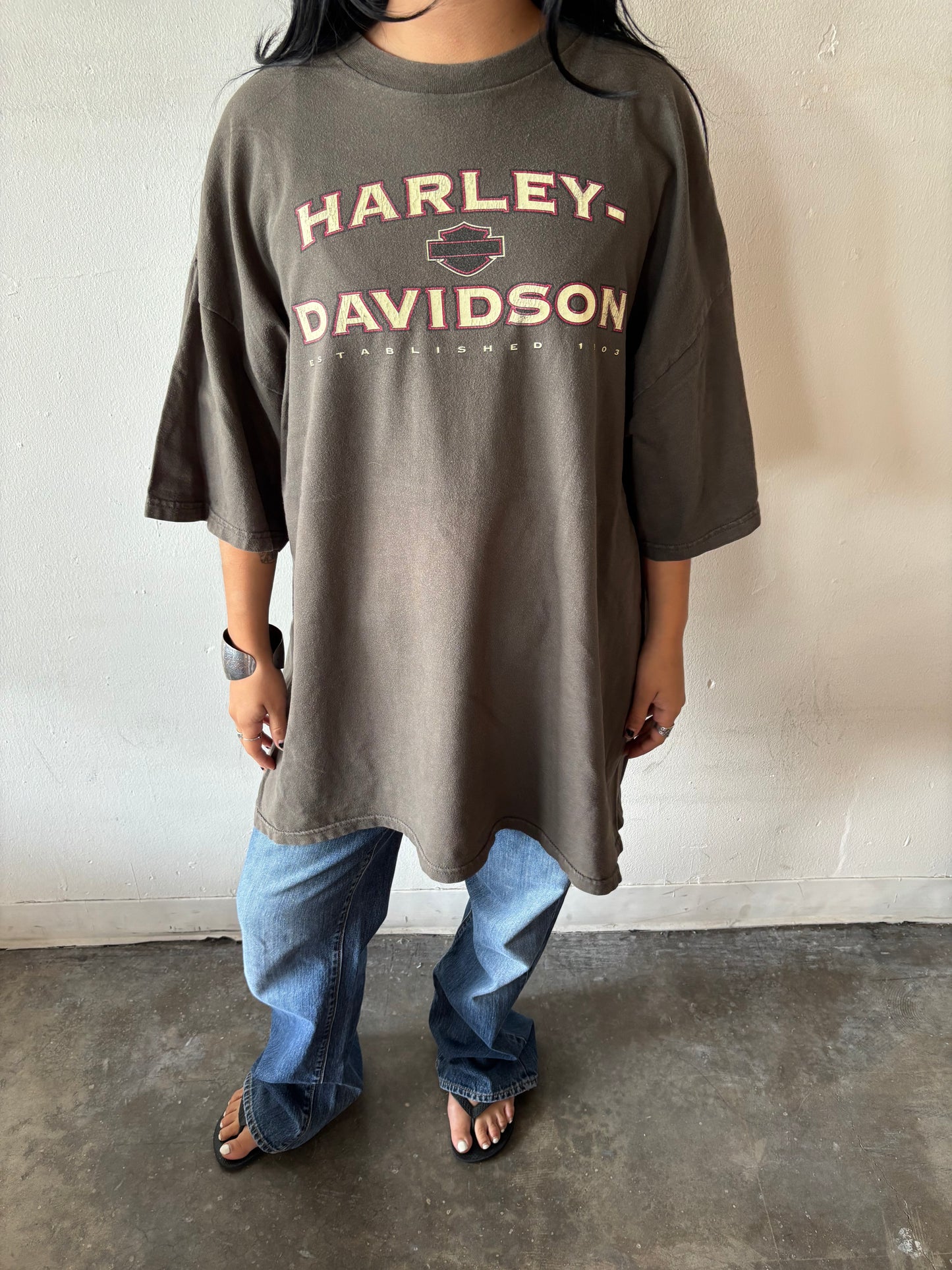 Vintage Harley Davidson Dodge City Shirt