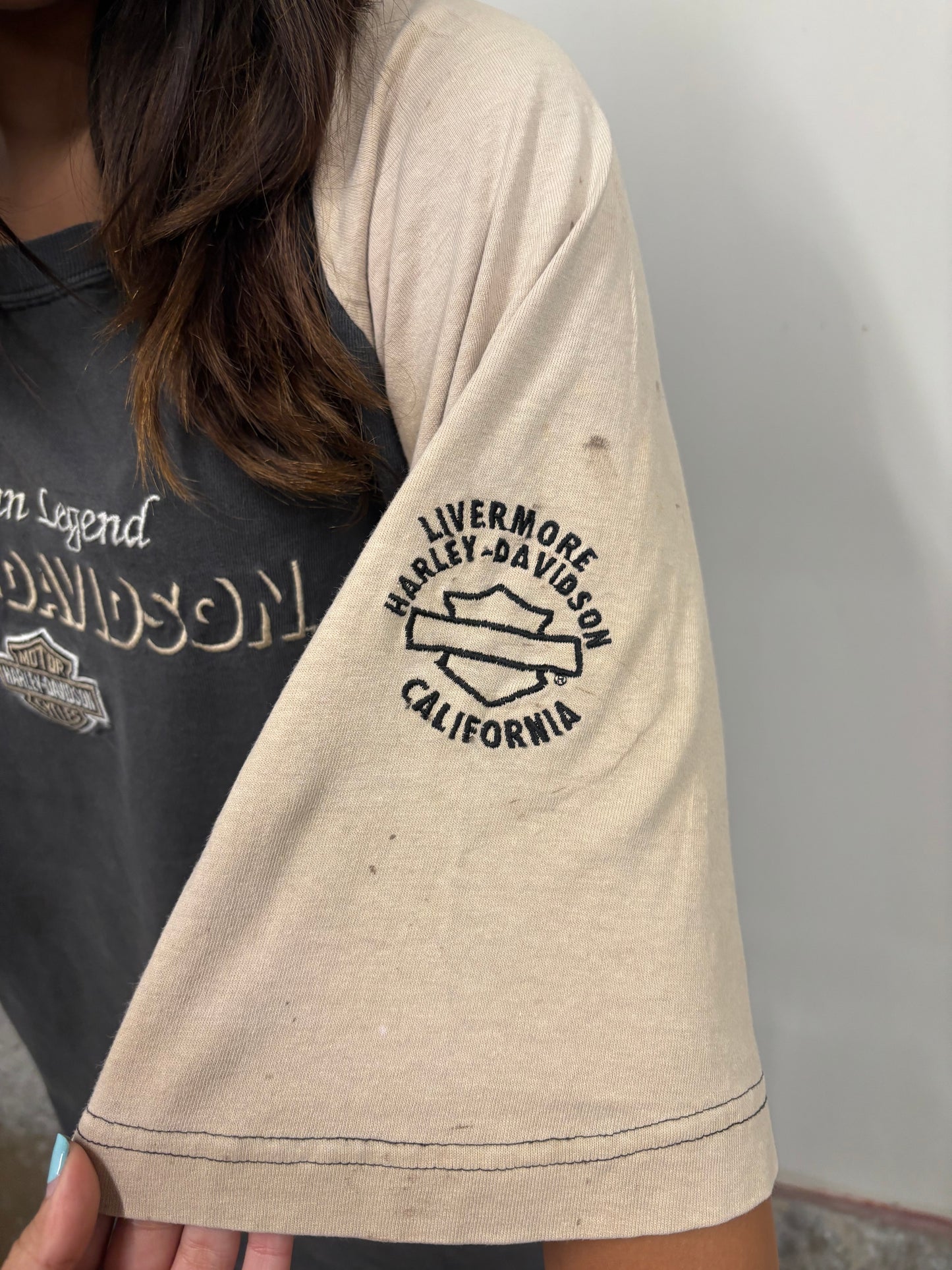 Vintage Harley Davidson American Legend Shirt