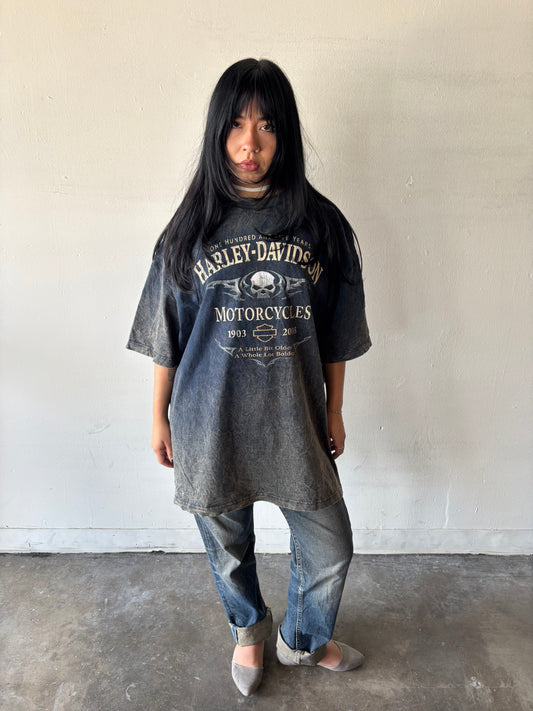 Harley Davidson Batavia Shirt