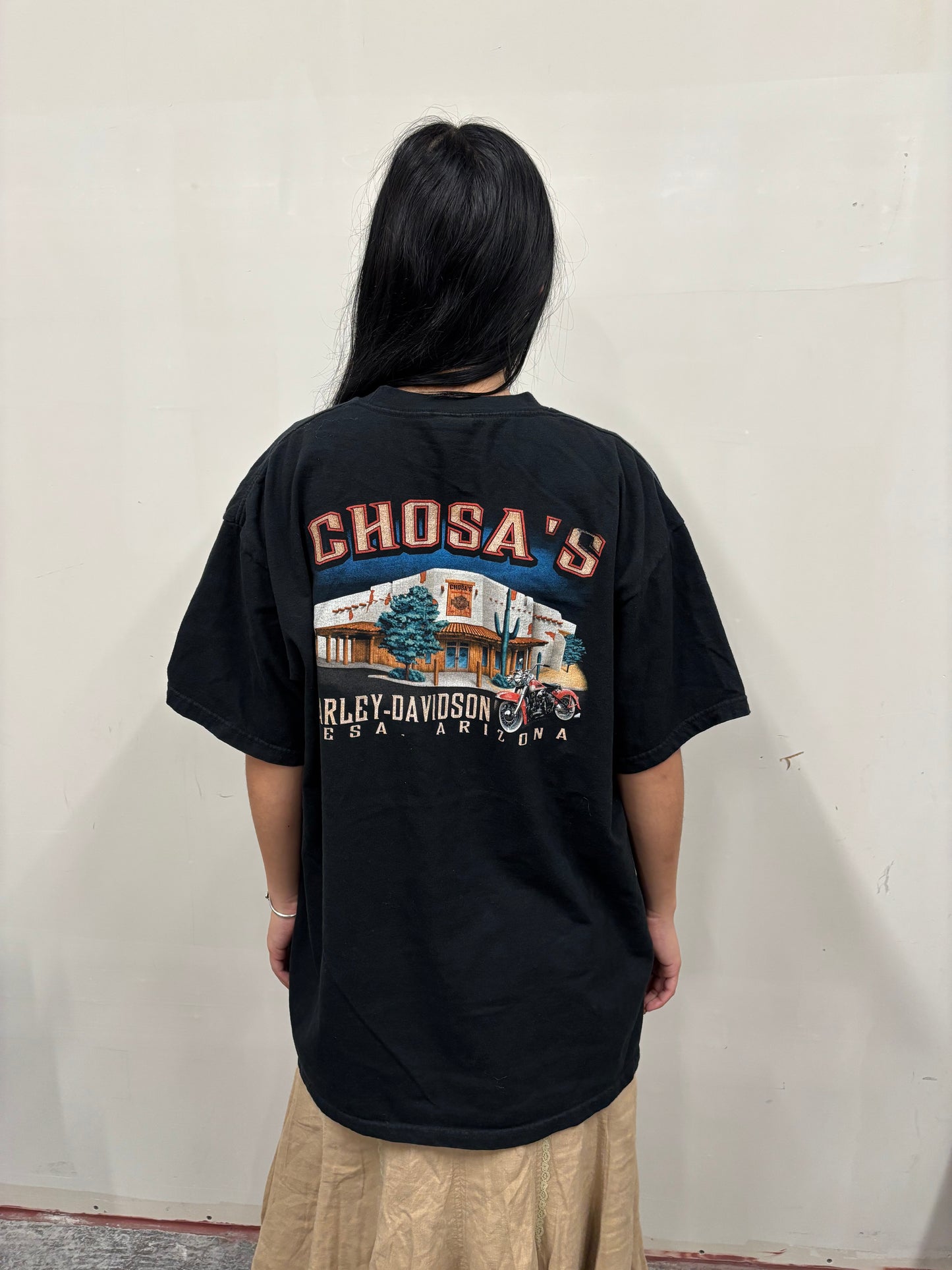 Vintage Harley Davidson Arizona Shirt