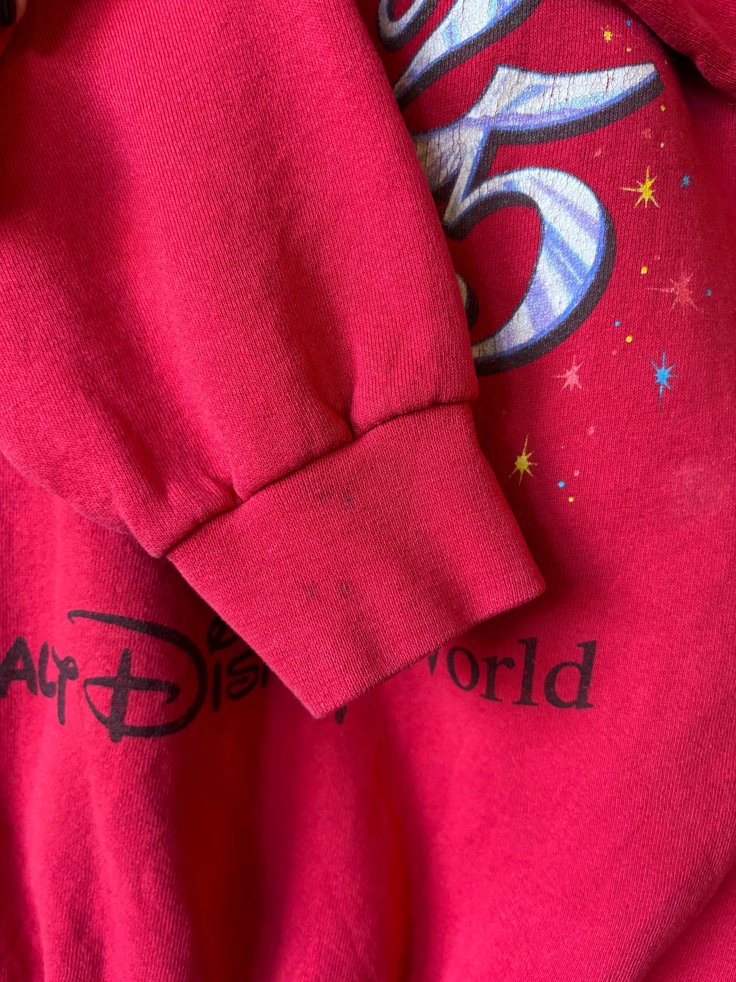 Vintage Walt Disney World Crewneck
