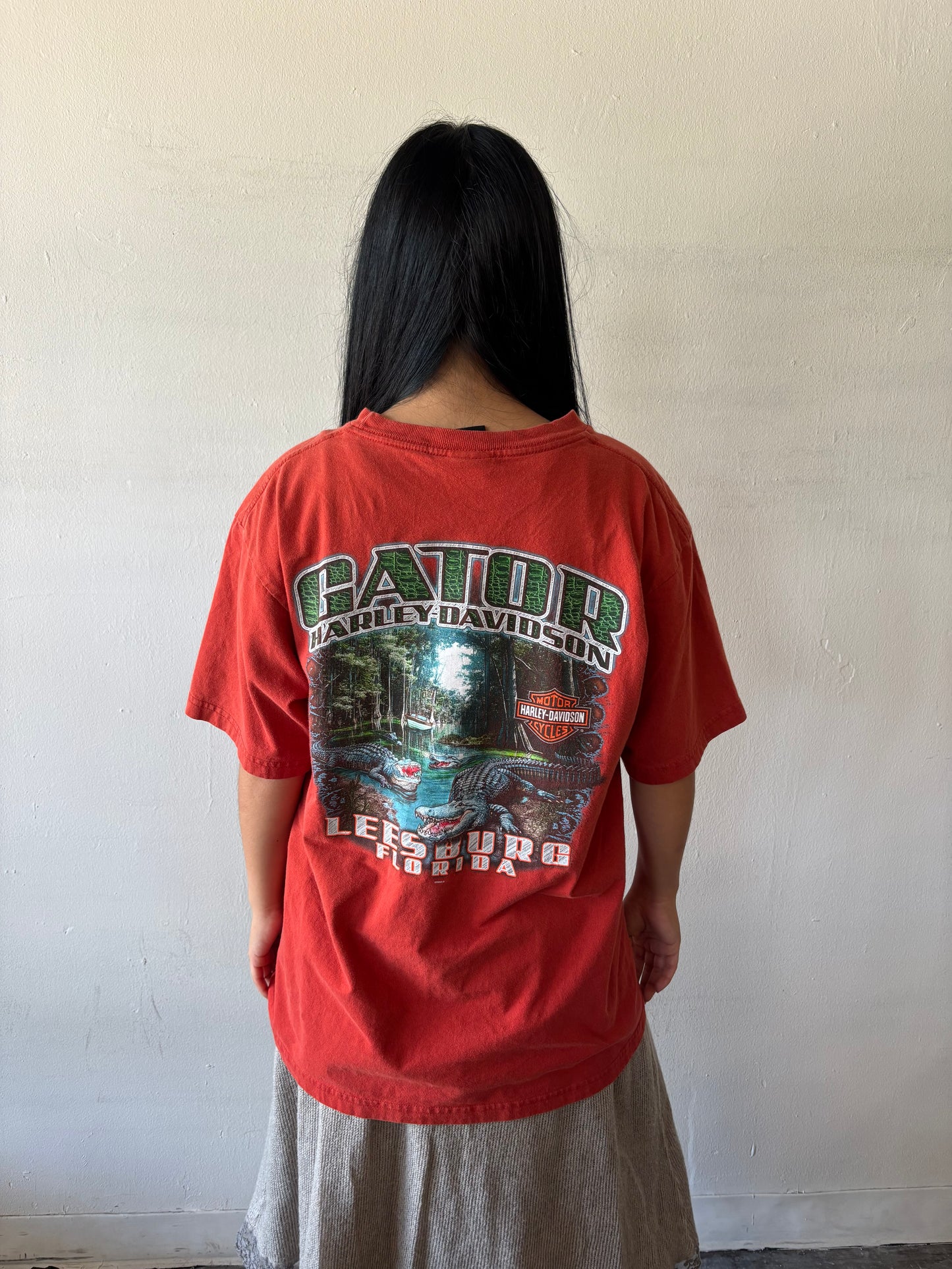 Vintage Harley Davidson Shirt