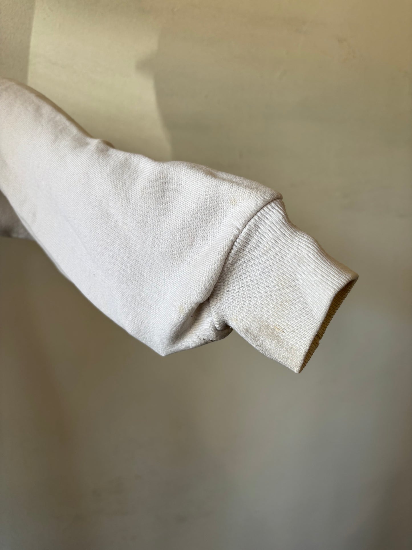 Vintage Looney Tunes Christmas Crewneck