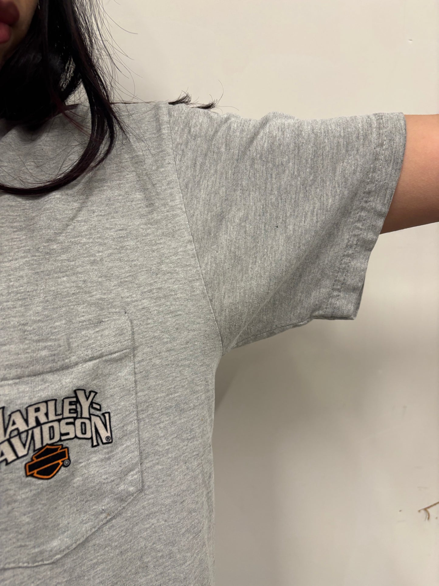 Vintage Harley Davidson Illinois Shirt