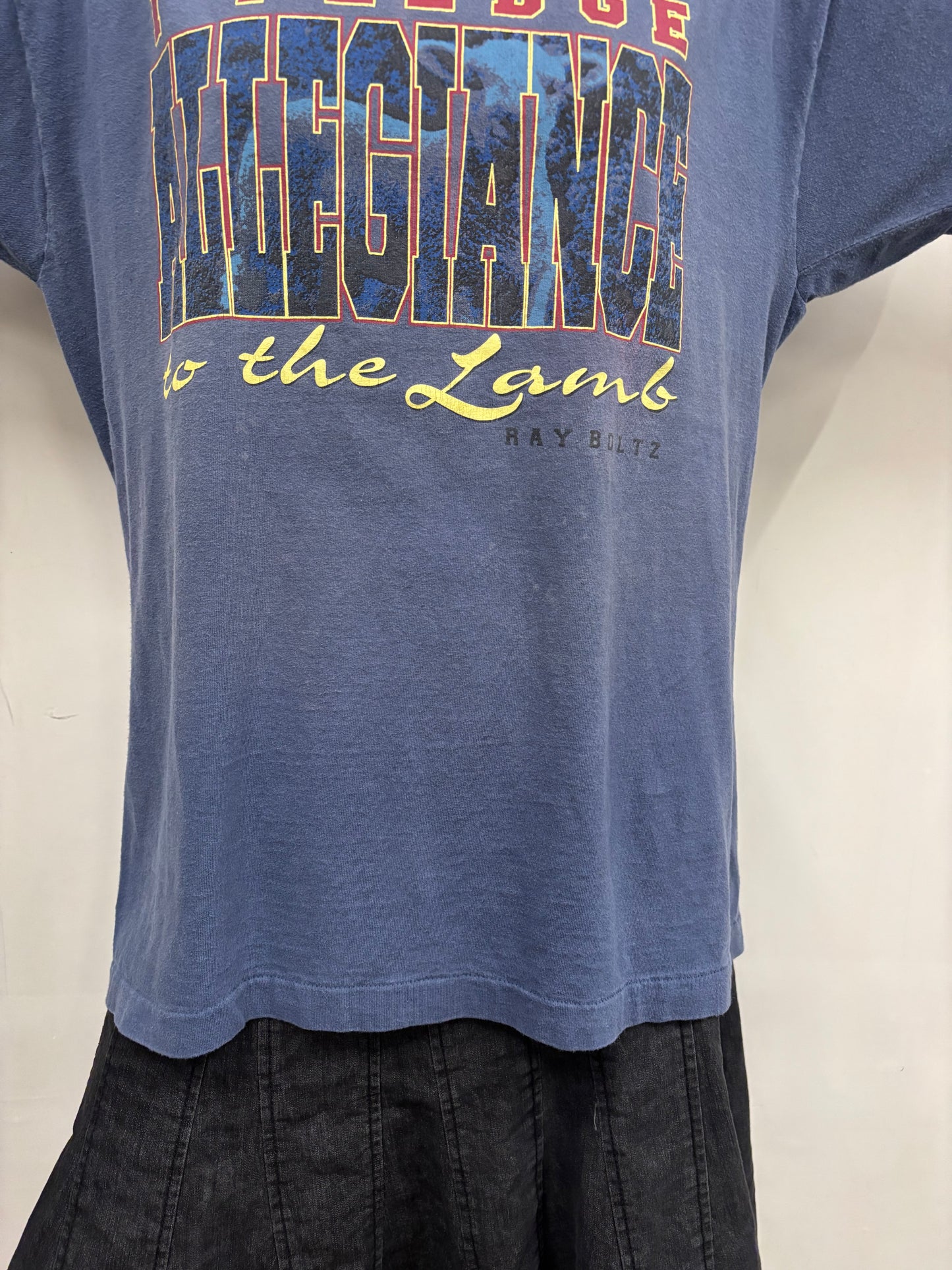 Vintage I Pledge Allegiance Shirt