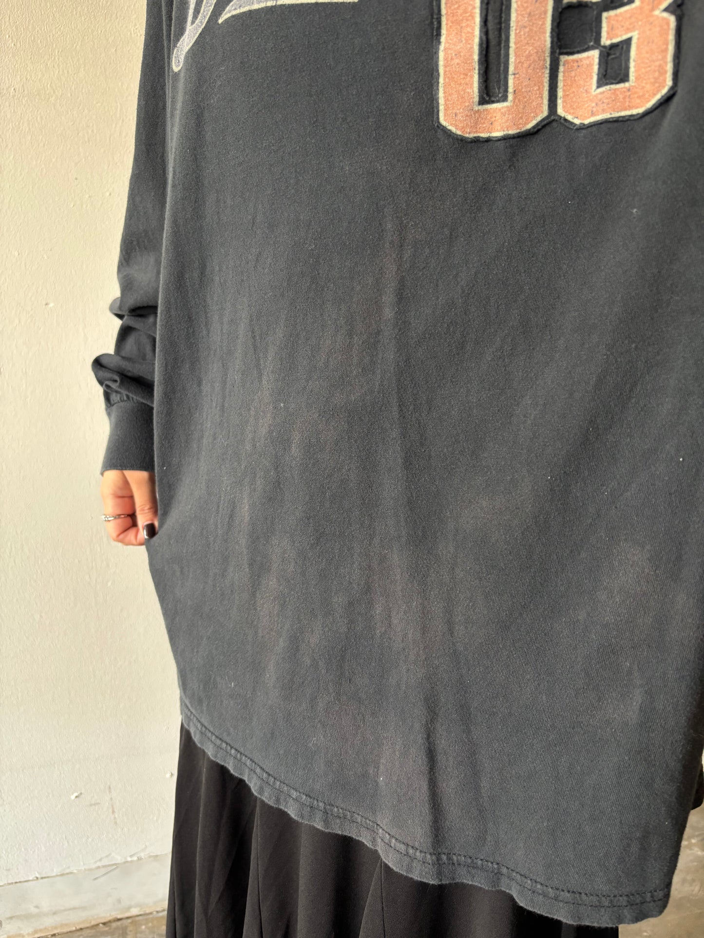 Harley Davidson Illinois Shirt