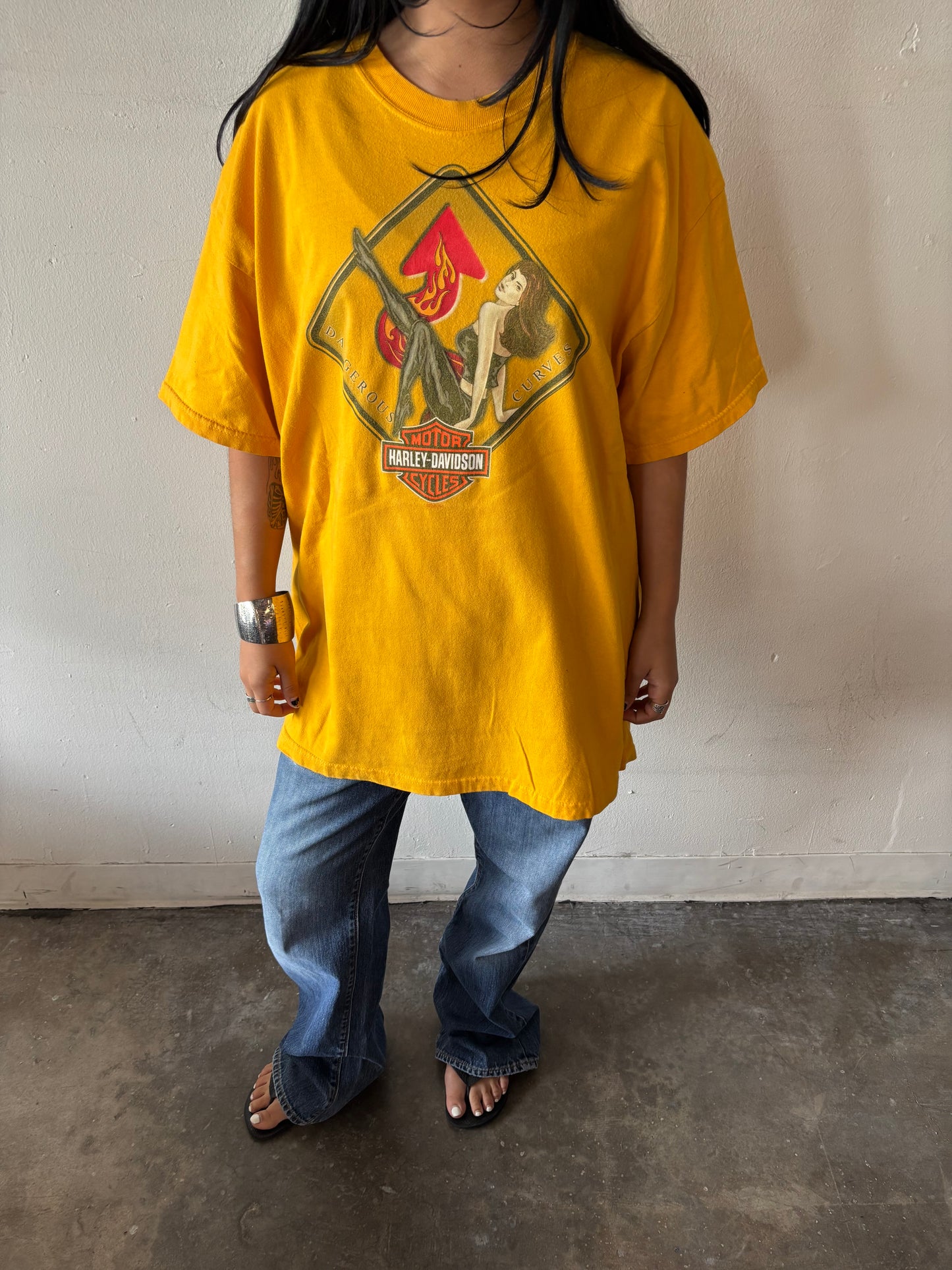 Vintage Harley Davidson Arizona Shirt