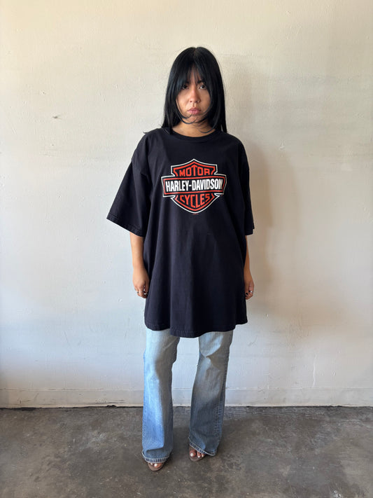 Vintage Harley Davidson Crystal River Shirt