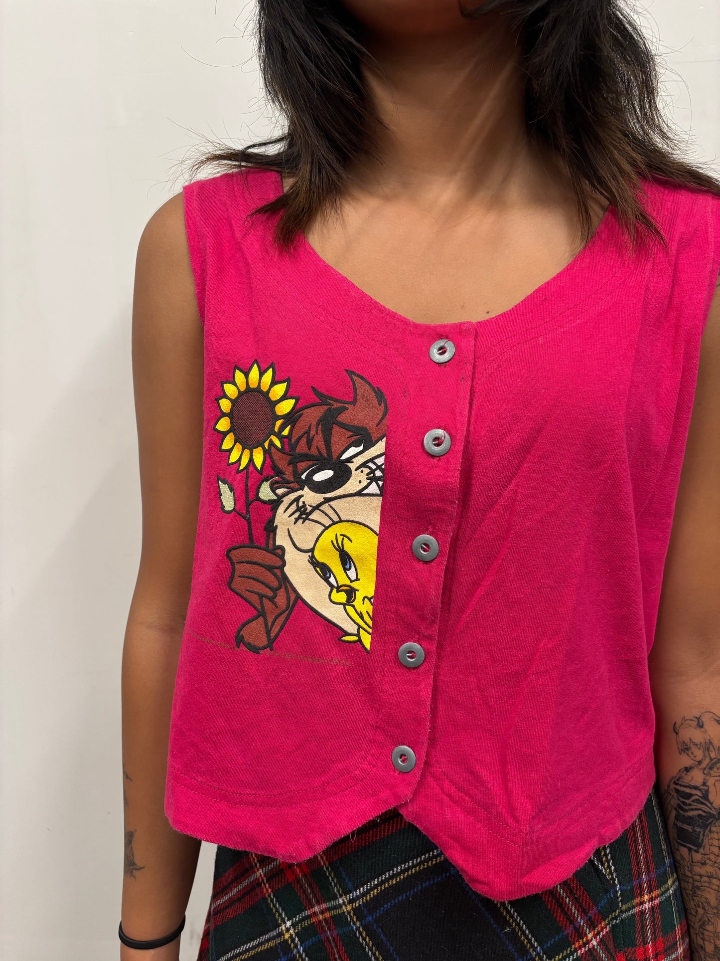 Vintage Taz Tweety Button Up Crop
