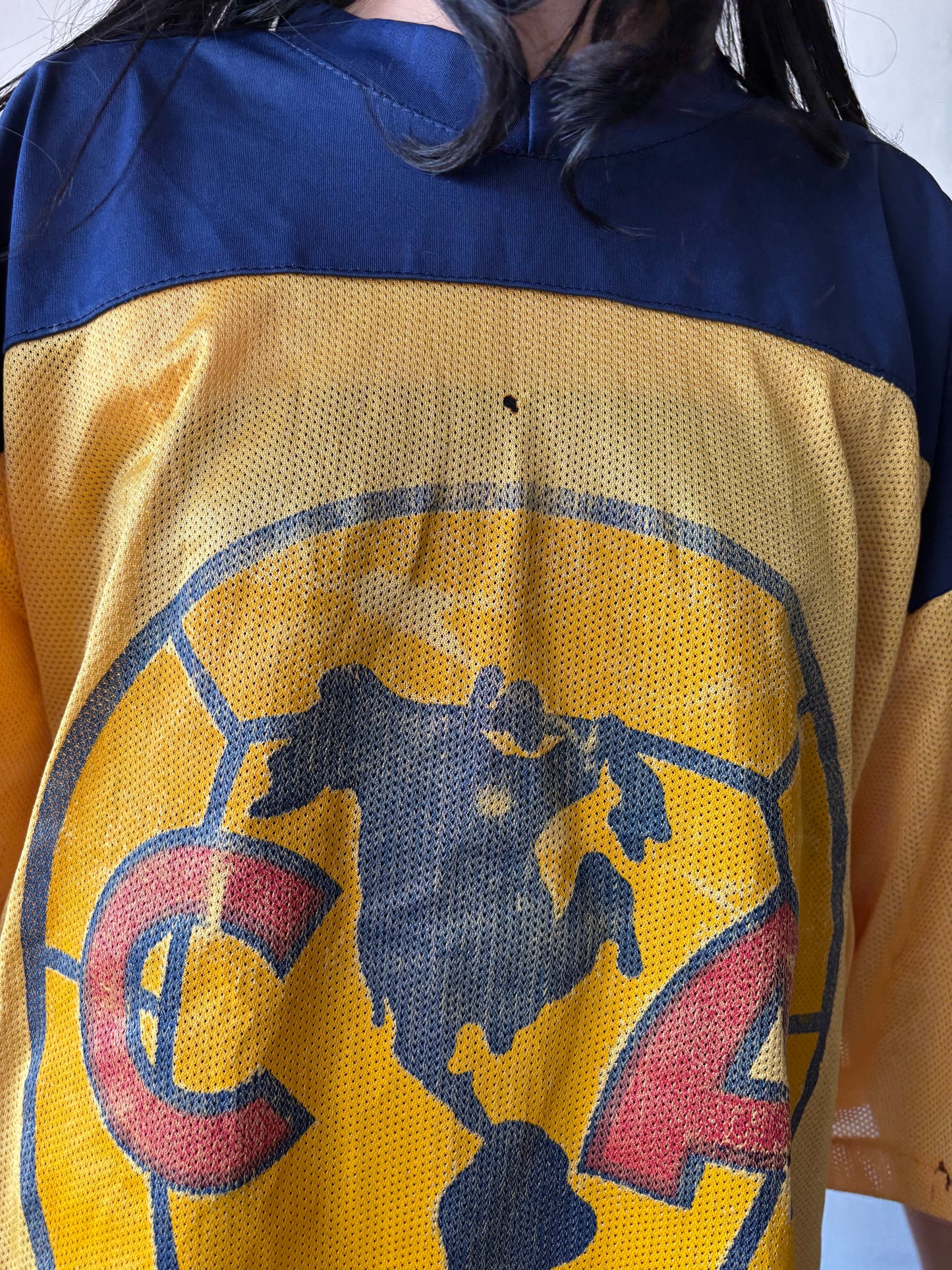 Vintage America Soccer Team Jersey