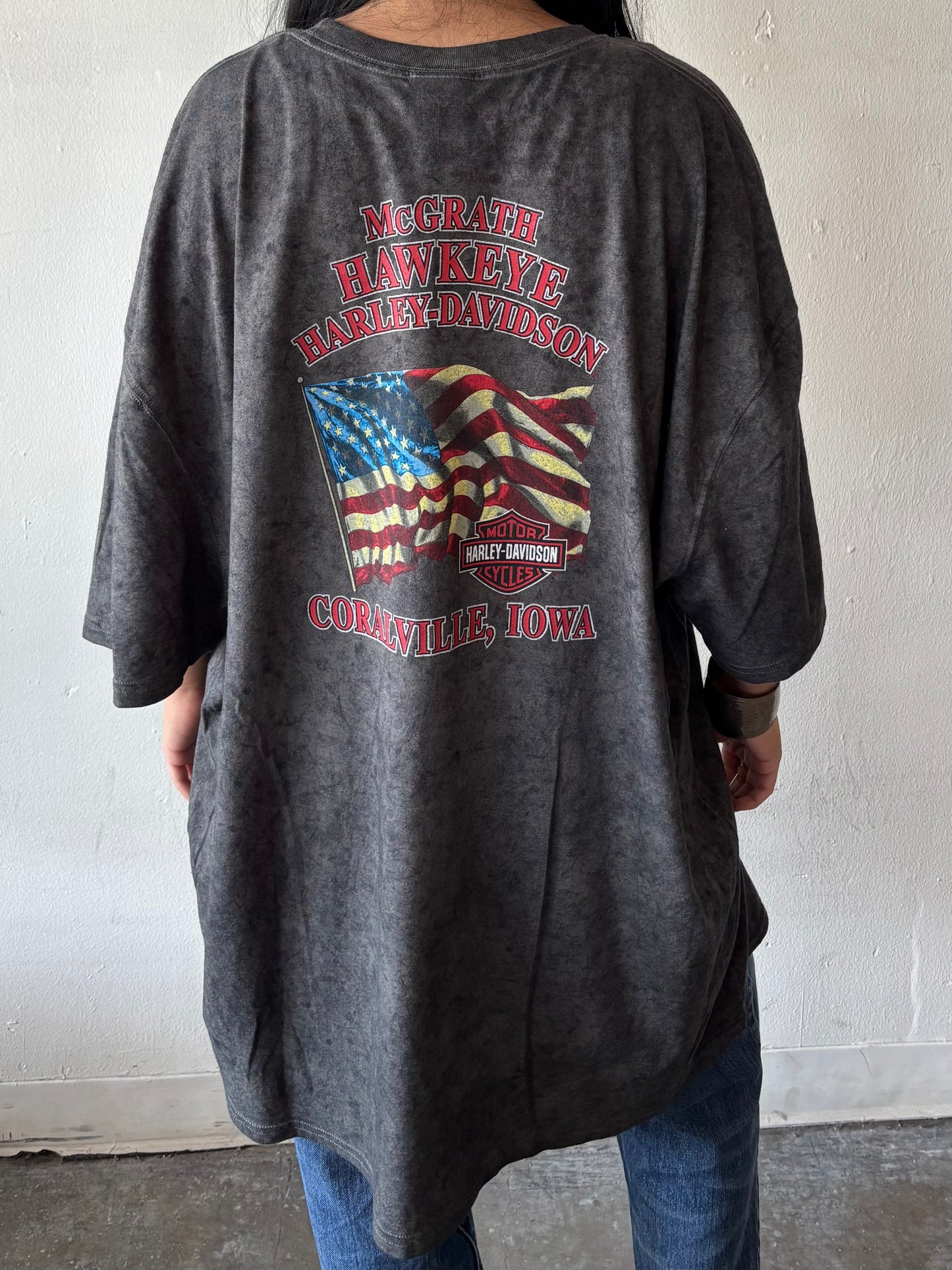 Vintage Harley Davidson Iowa Shirt