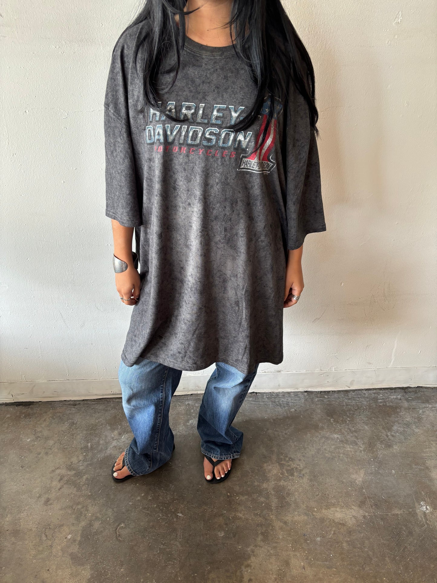 Vintage Harley Davidson Iowa Shirt