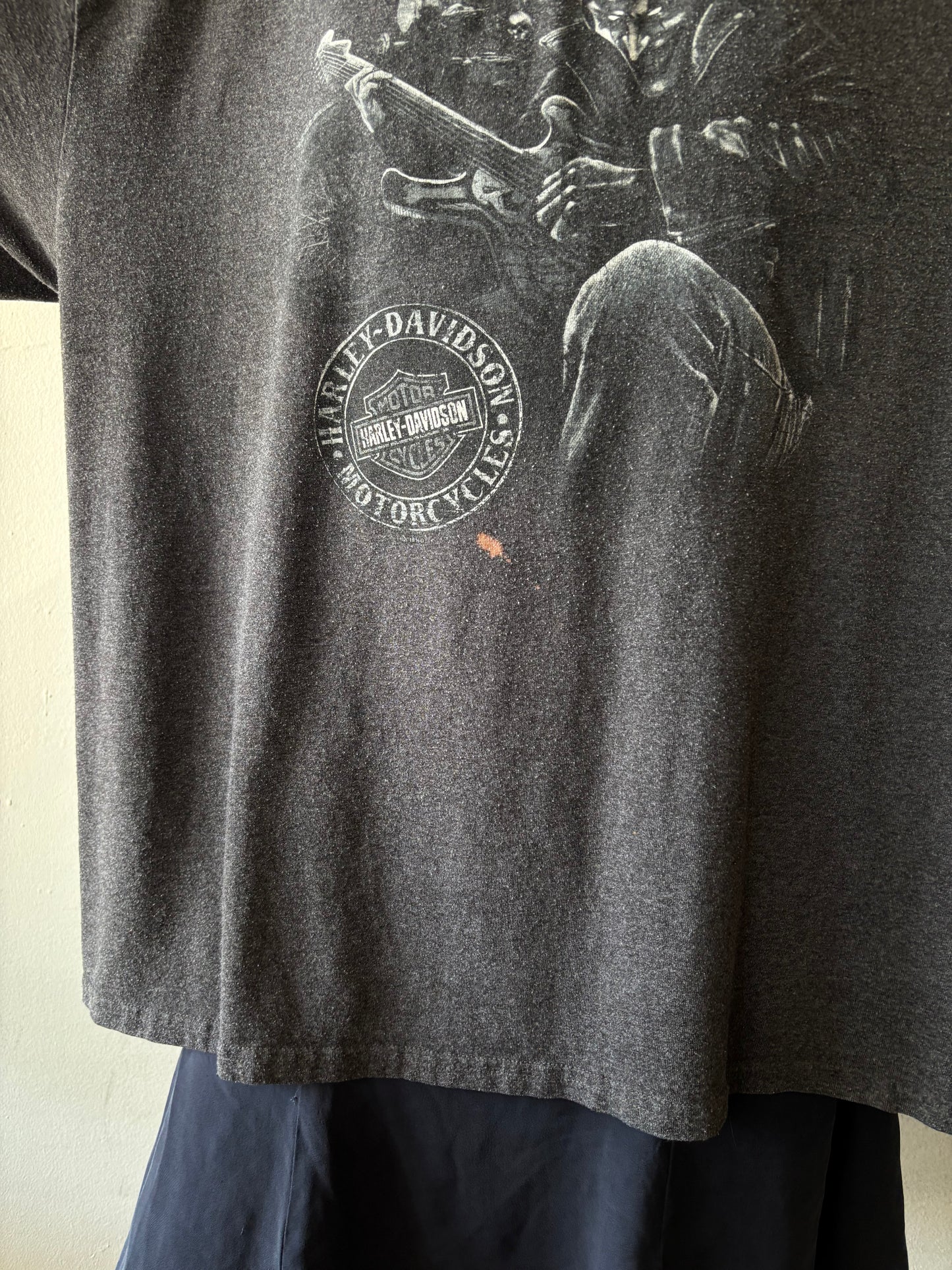 Harley Davidson Avalanches Shirt