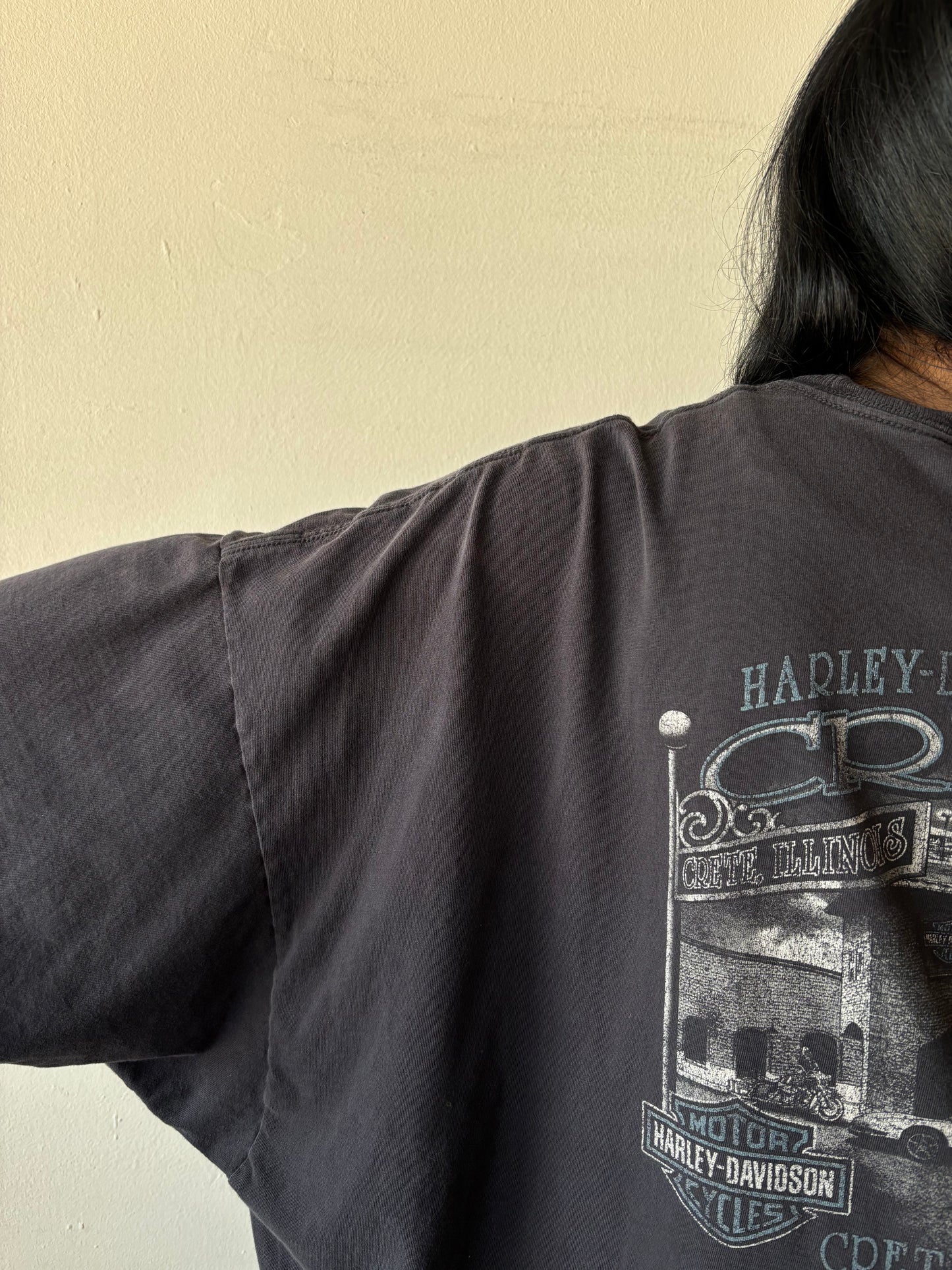 Vintage Harley Davidson Shirt