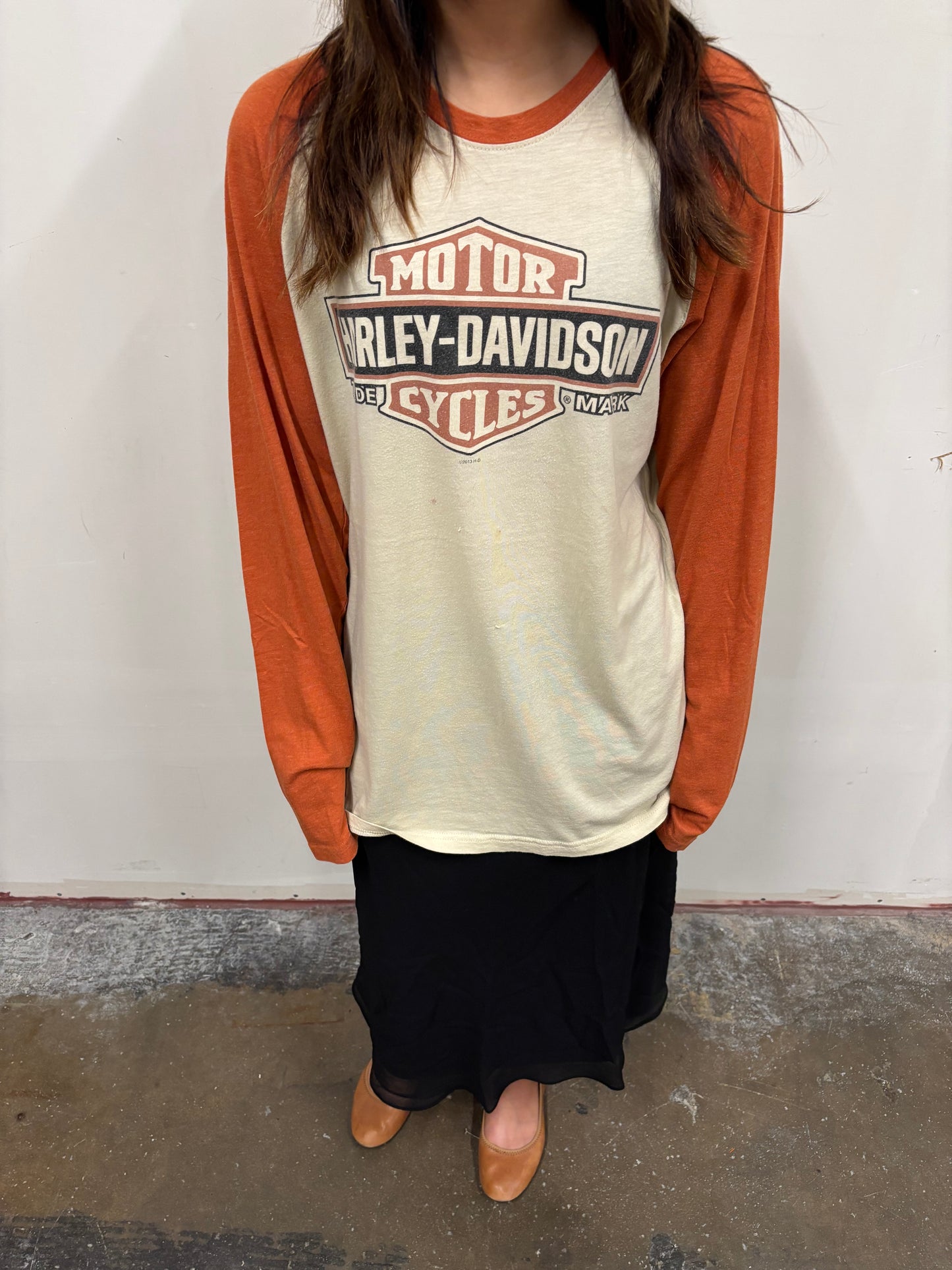 Vintage Harley Davison Texas Shirt