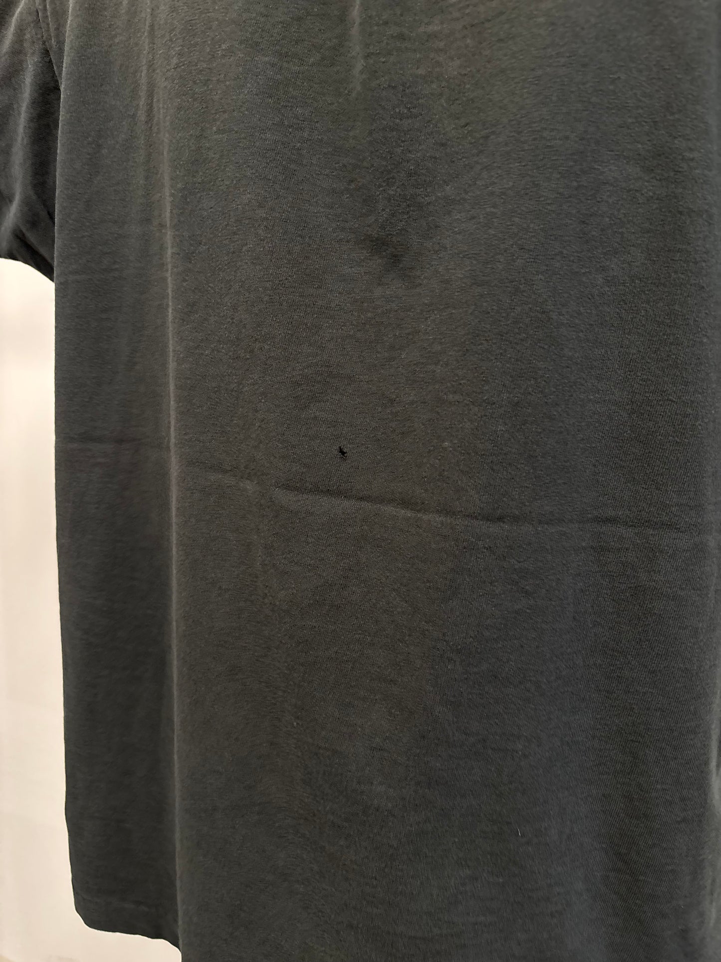 Vintage Wolf W/ Wings Shirt