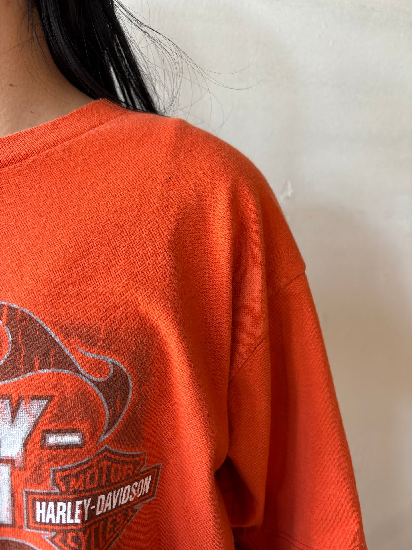 Vintage Harley Davidson Shirt
