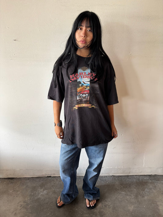 Vintage Harley Davidson Colorado Shirt