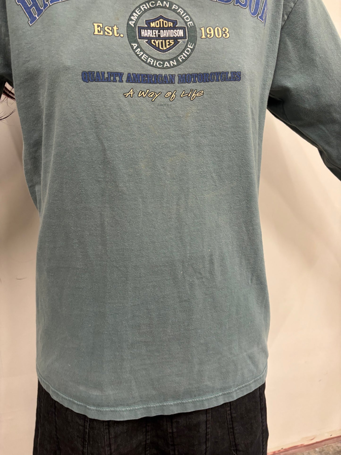 Vintage Harley Davidson Texas Shirt