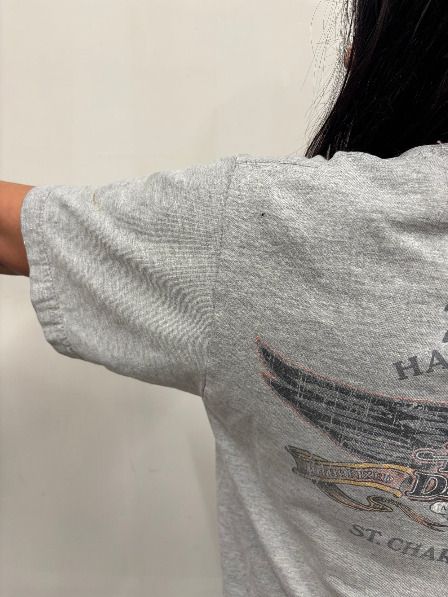 Vintage Harley Davidson Illinois Shirt