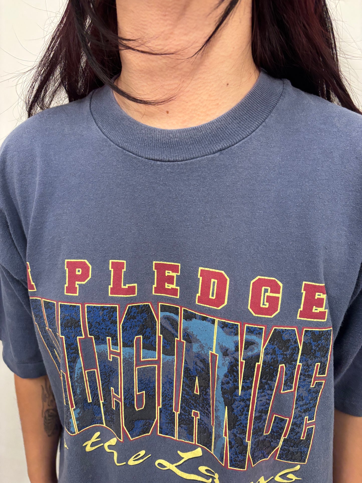 Vintage I Pledge Allegiance Shirt