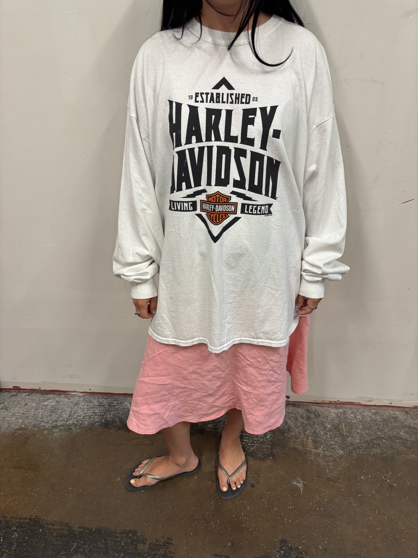 Vintage Harley Davidson Pennsylvania Shirt