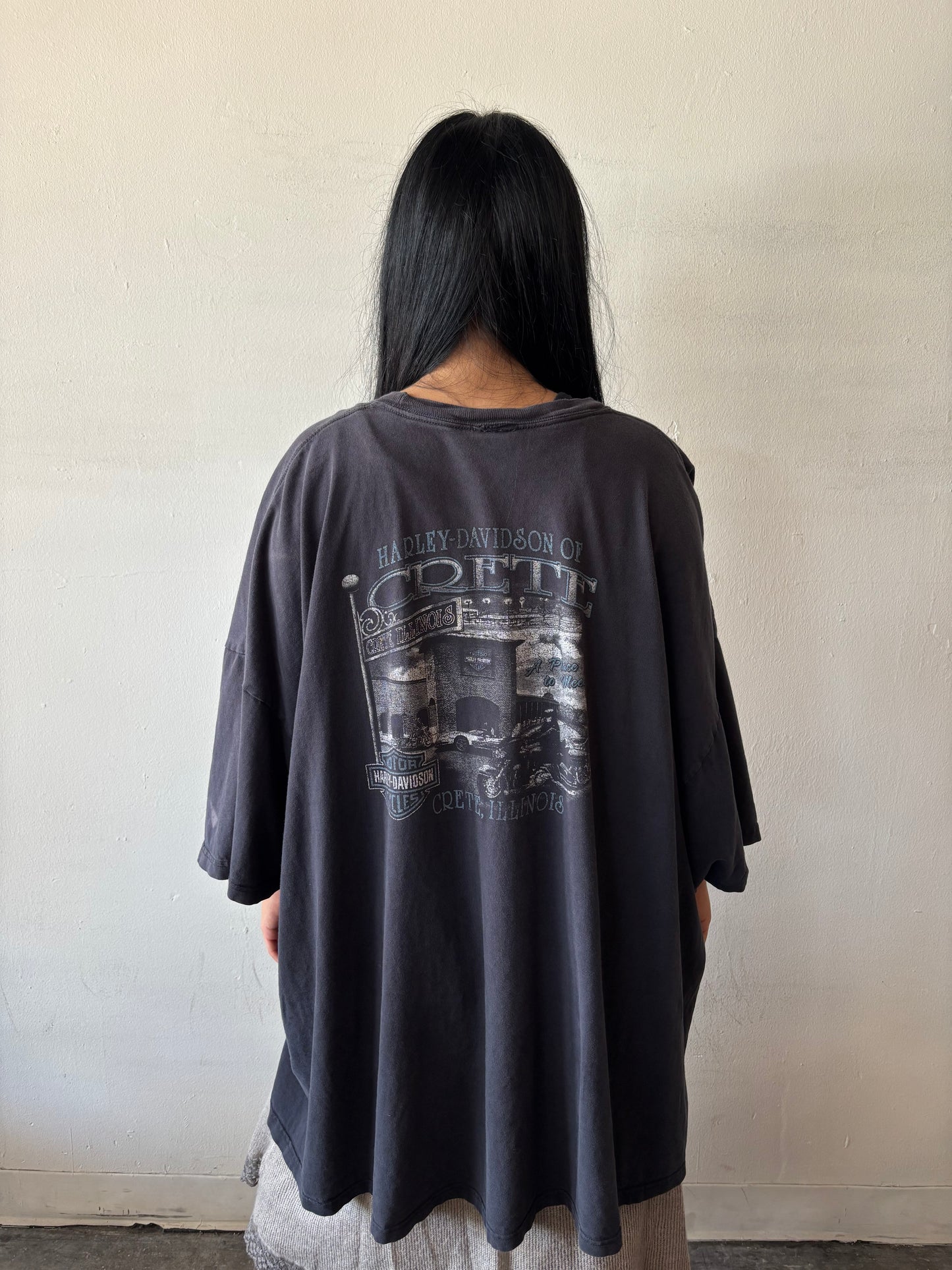 Vintage Harley Davidson Shirt