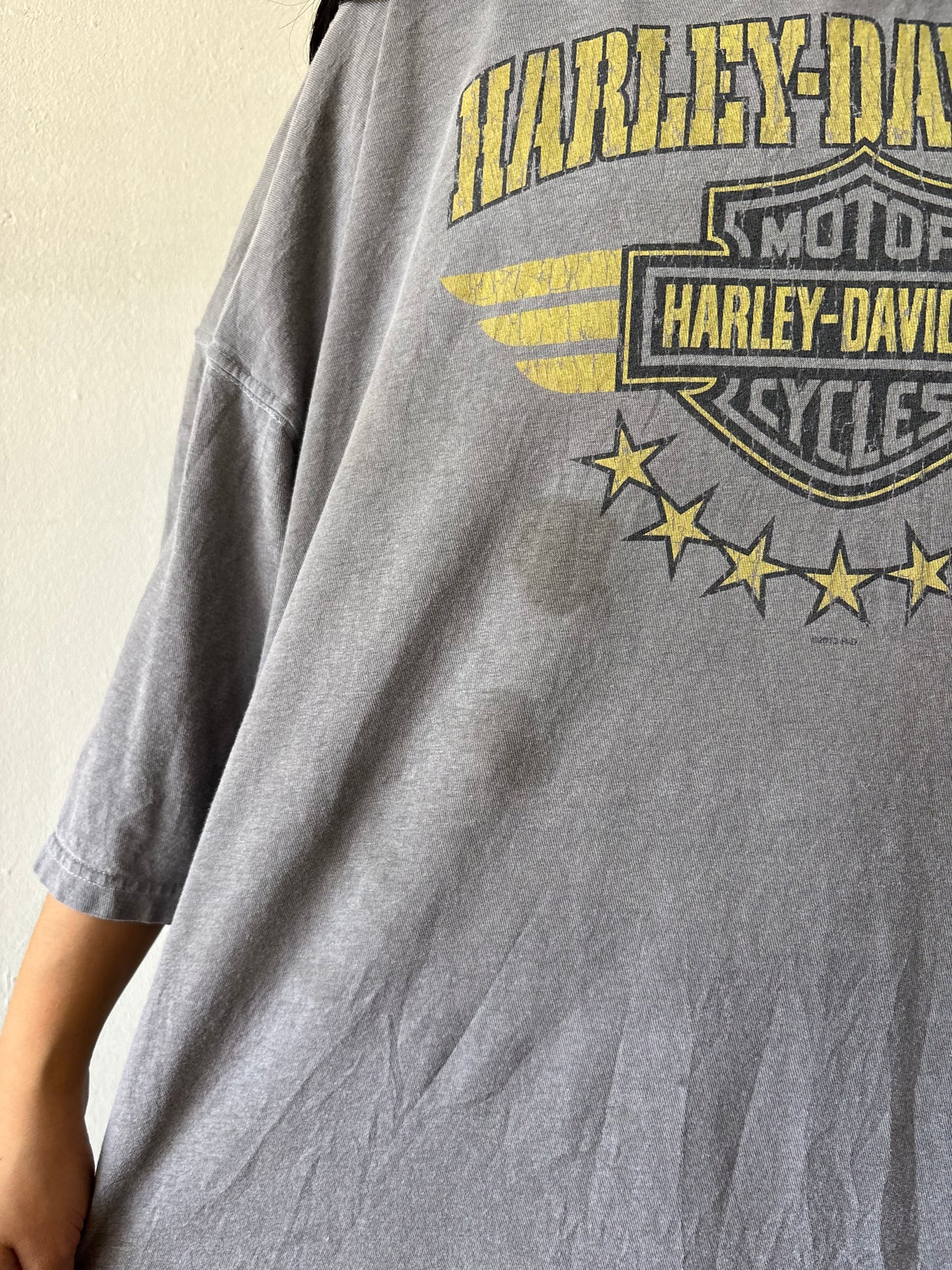 Harley Davidson Hamilton Shirt
