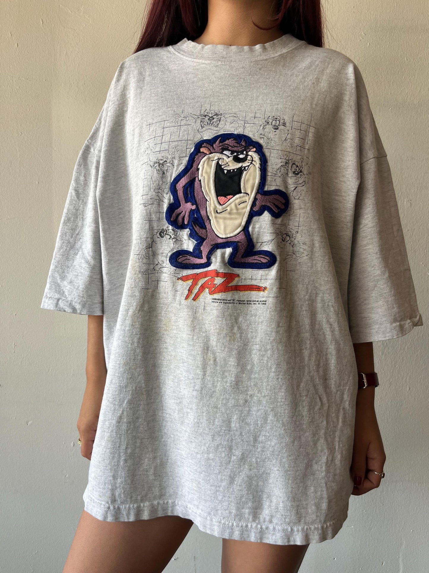 Vintage Taz Embroidered Shirt