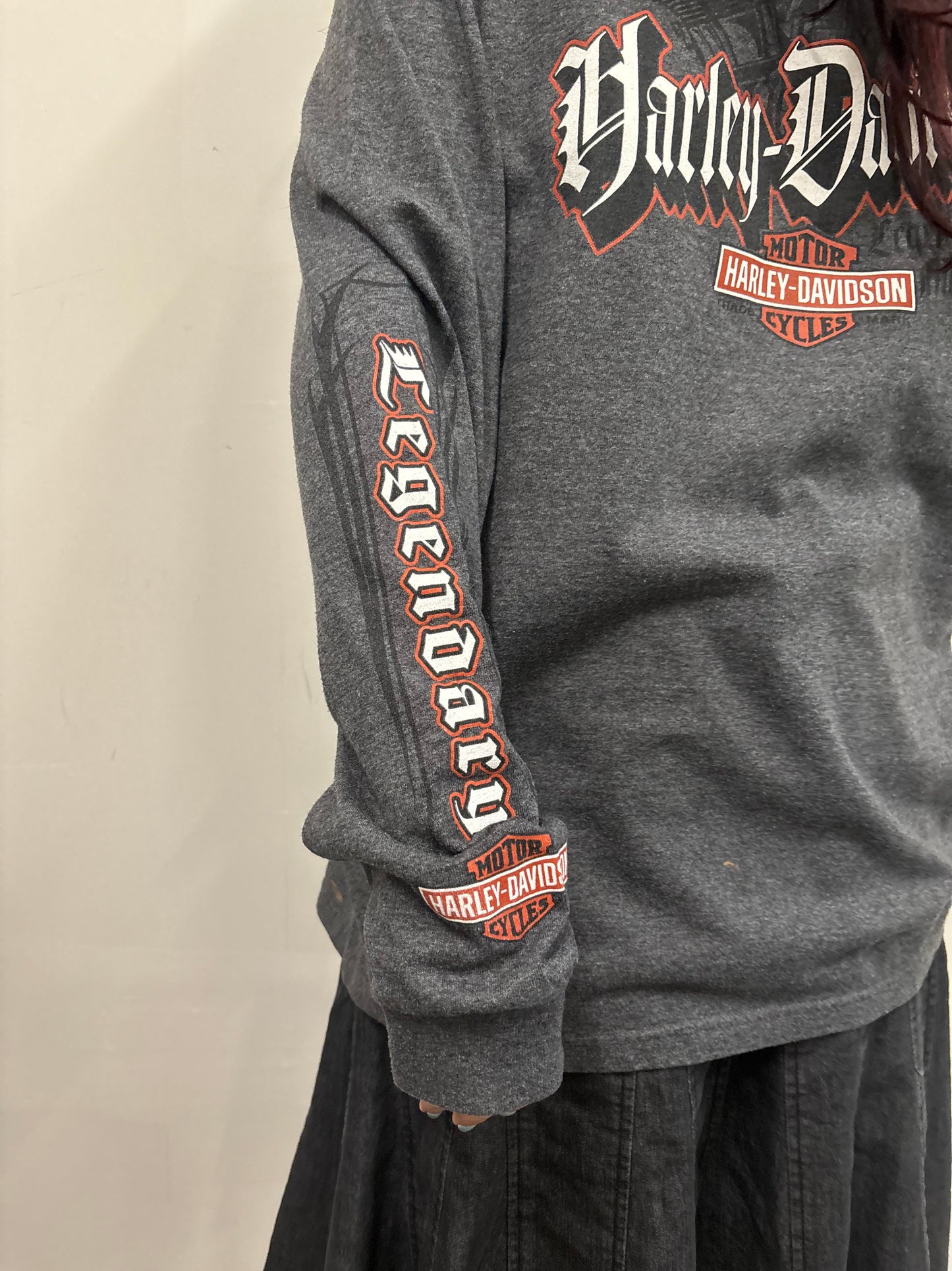 Vintage Harley Davidson Arkansas Shirt