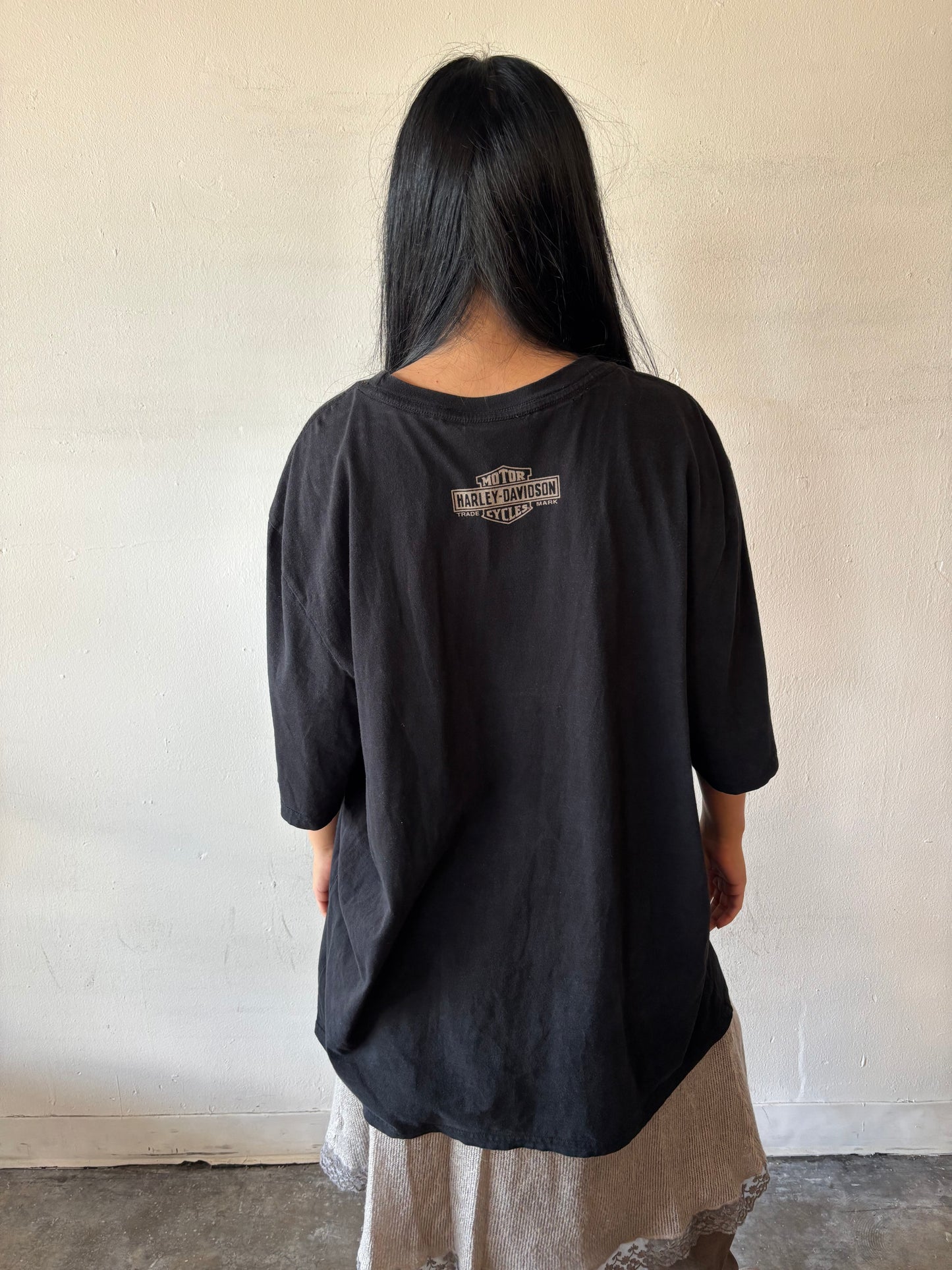 Vintage Harley Davidson Shirt