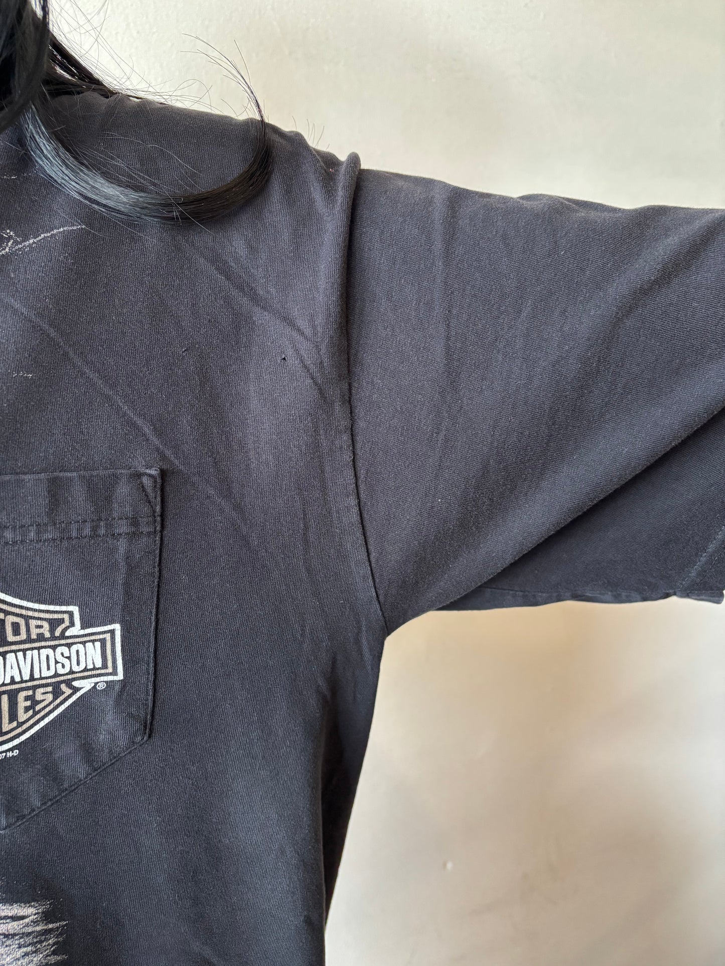 Harley Davidson Lexington Kentucky Shirt