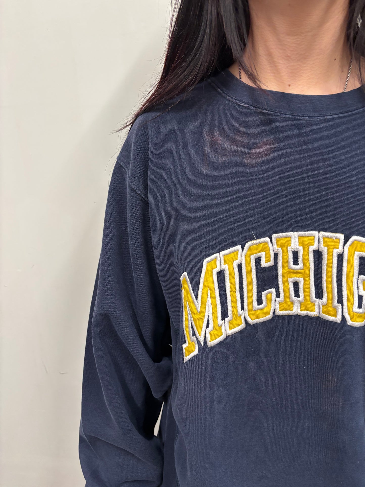 Vintage Michigan Crewneck
