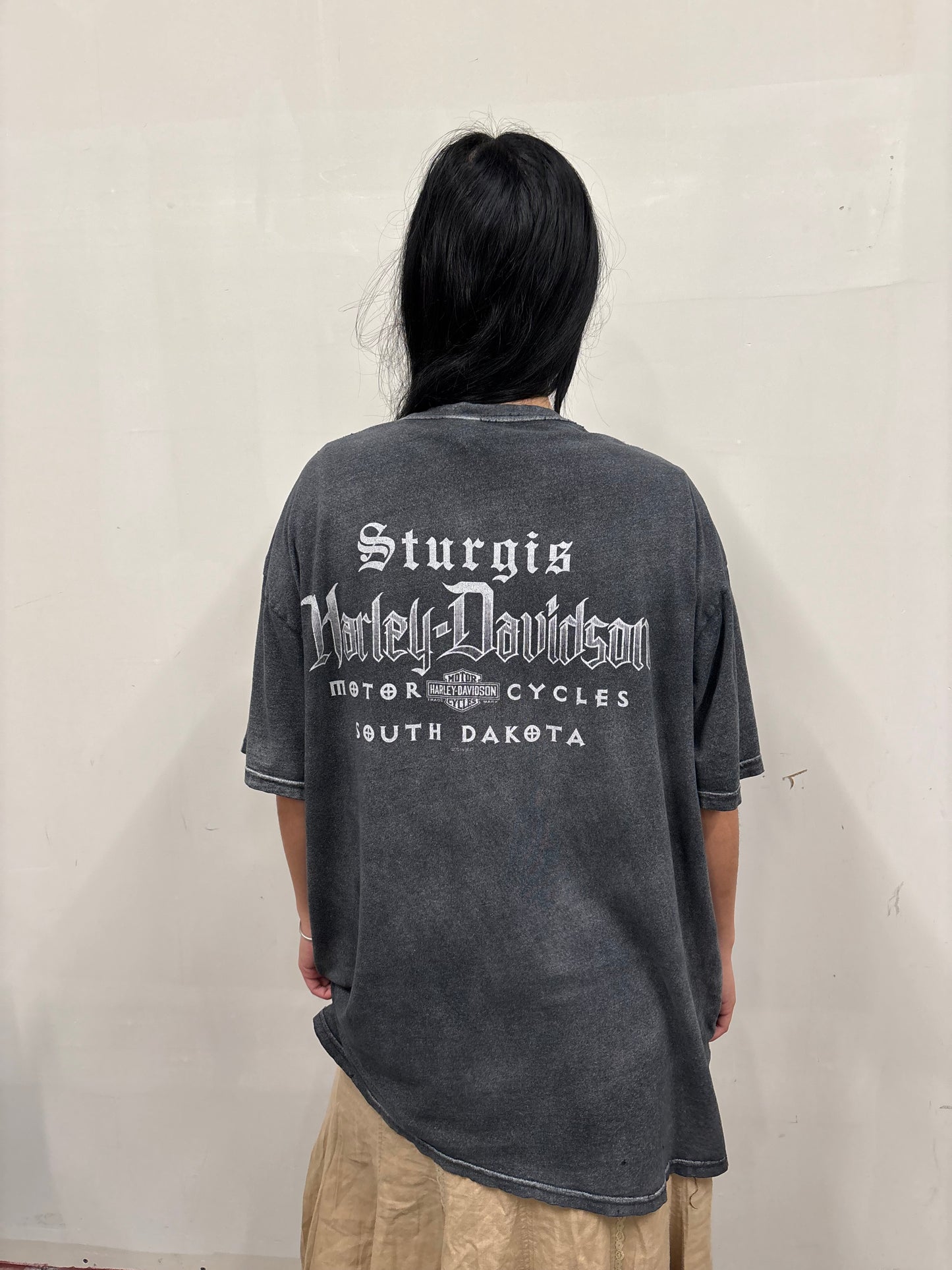 Vintage Harley Davidson South Dakota Shirt