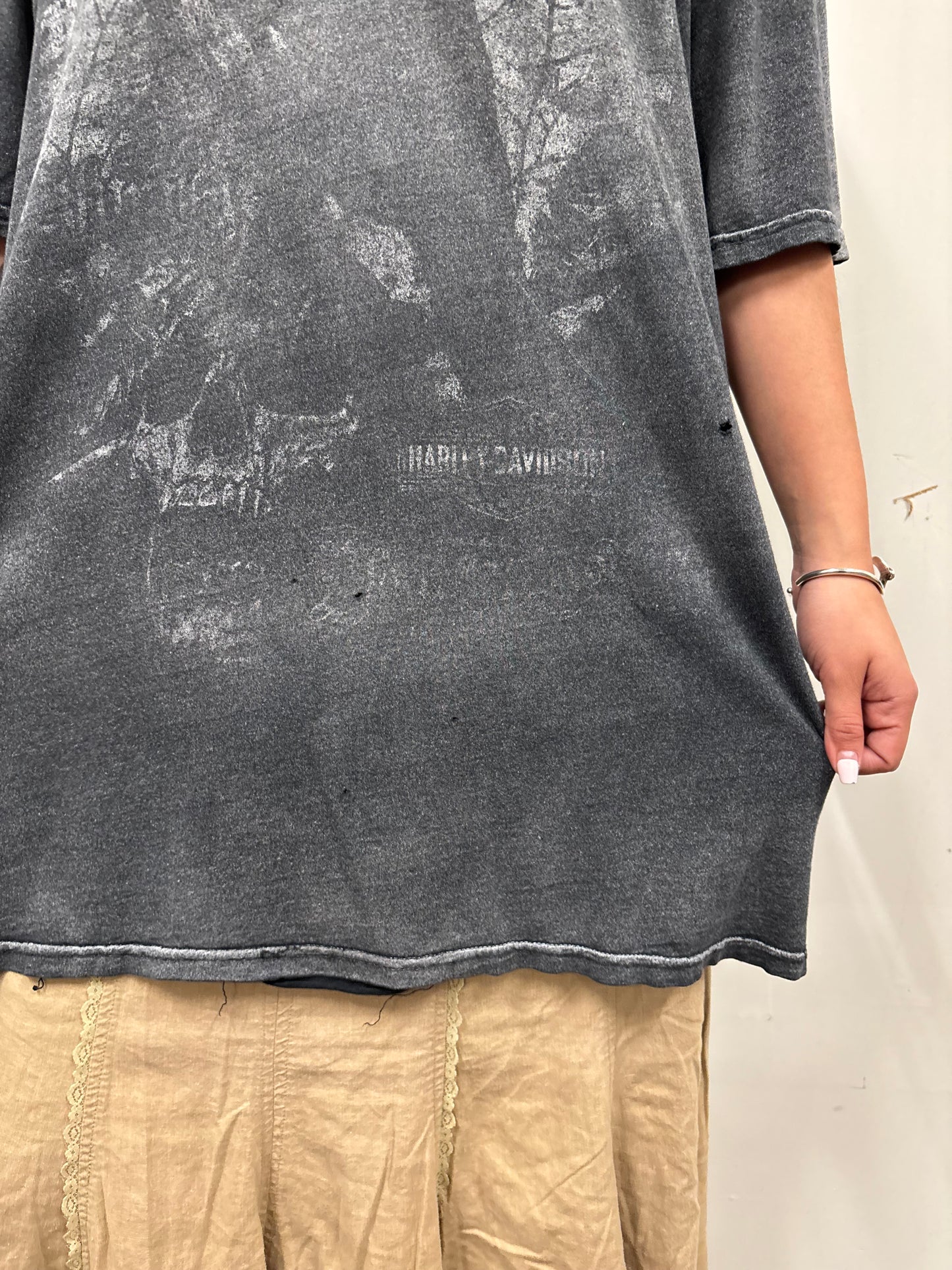 Vintage Harley Davidson South Dakota Shirt