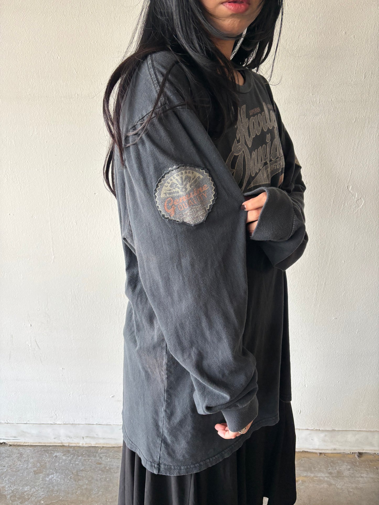 Harley Davidson Illinois Shirt