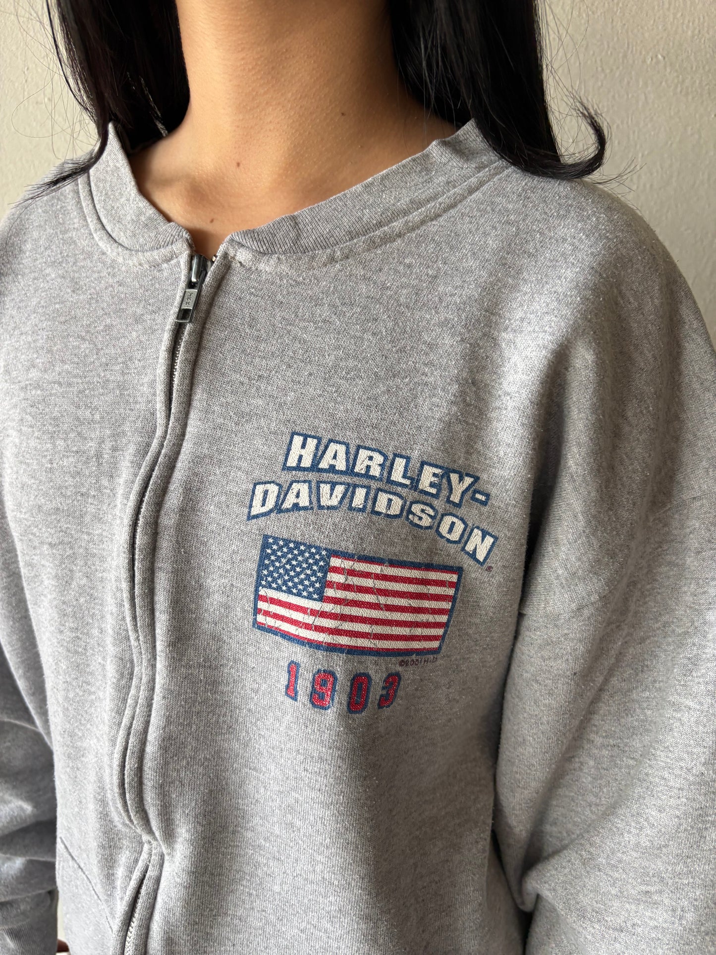 Vintage Harley Davidson Zip Up Jacket