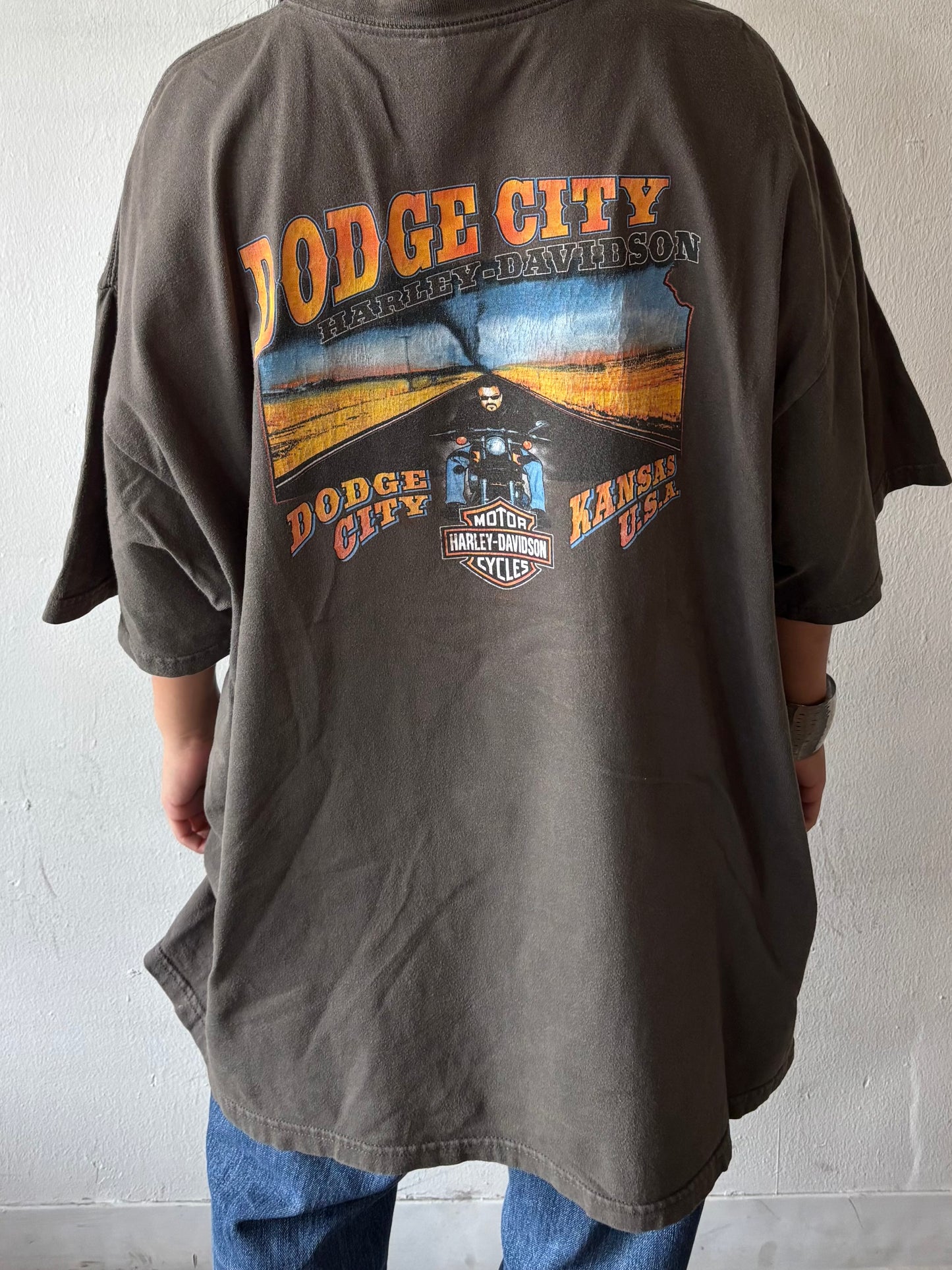 Vintage Harley Davidson Dodge City Shirt