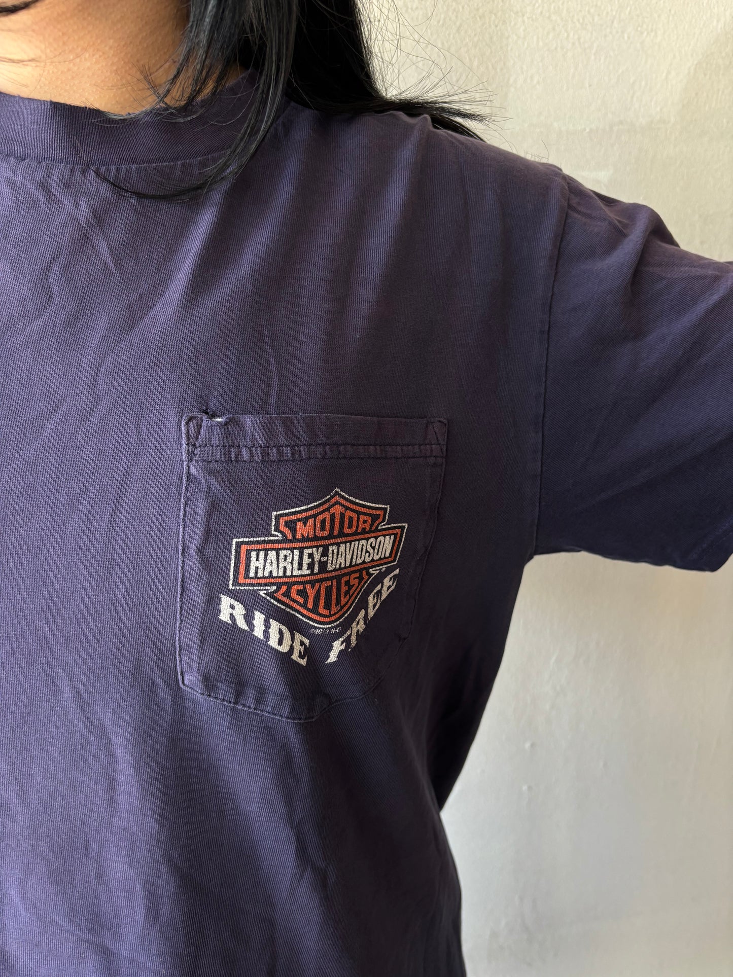 Harley Davidson Florida Shirt