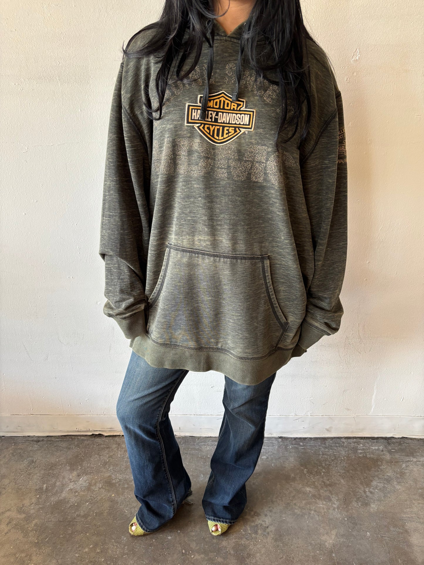 Vintage Harley Davidson Hoodie