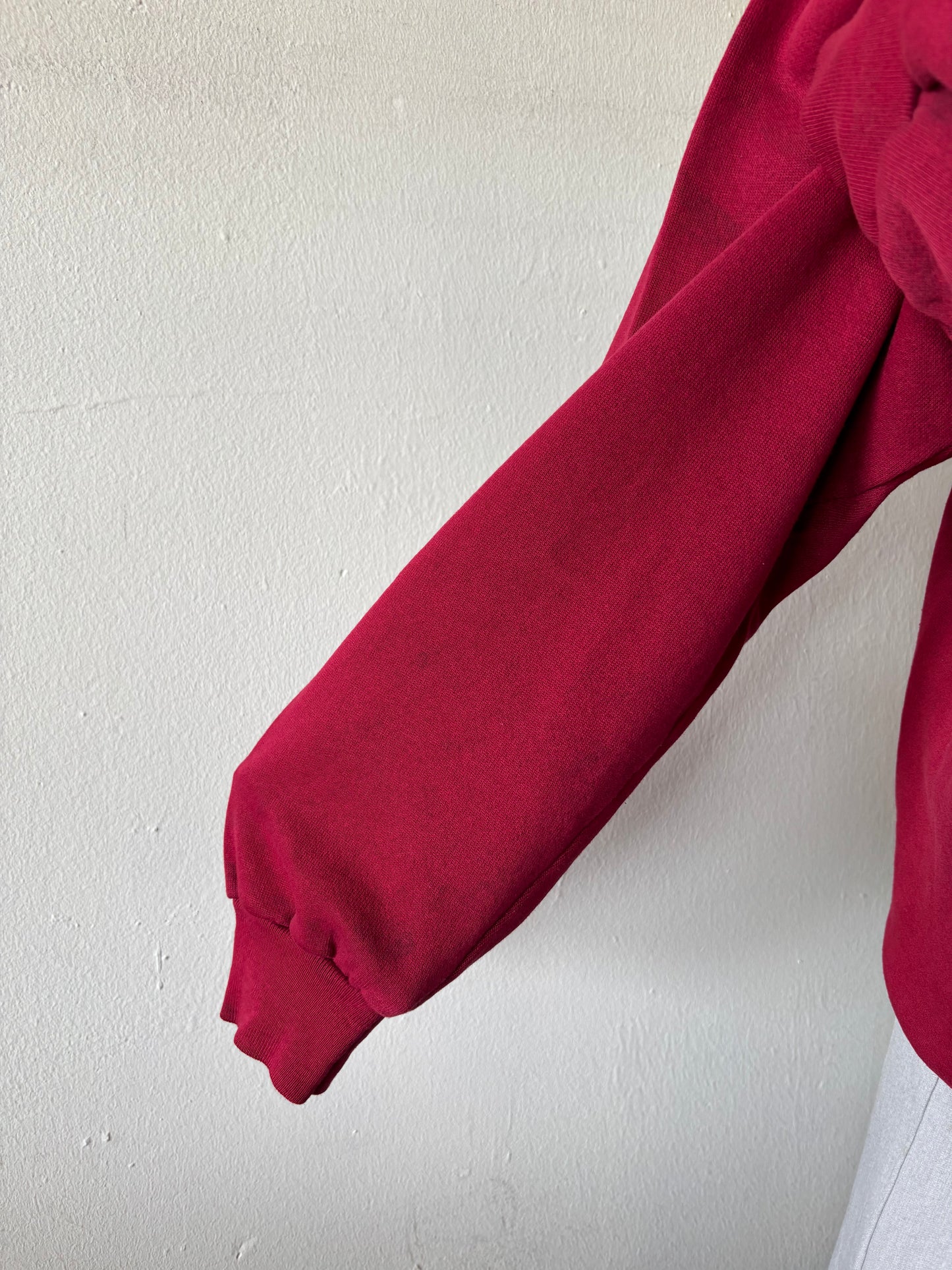 Vintage Mountain Lion Crewneck