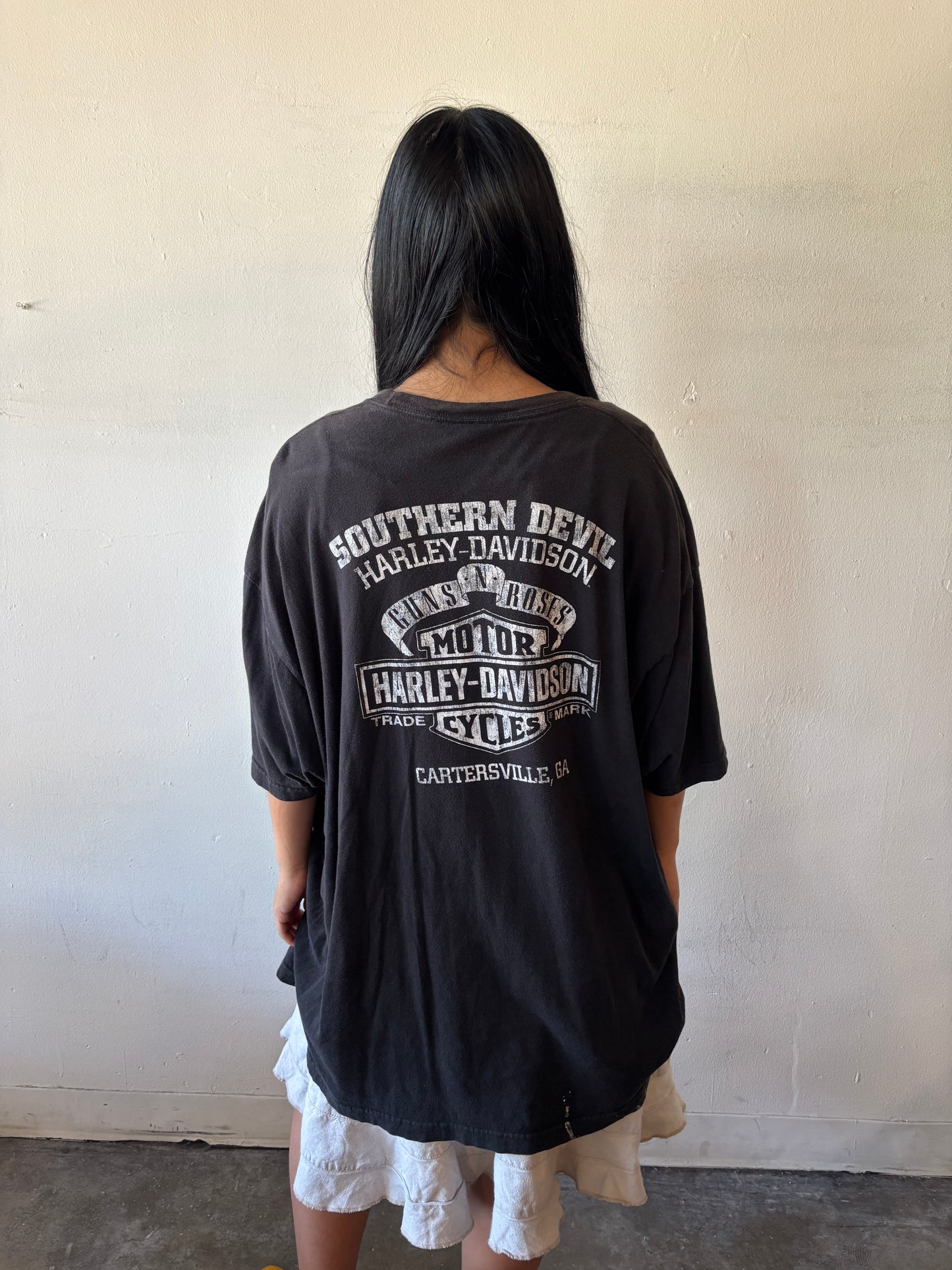 Vintage Harley Davidson Cartersville Shirt