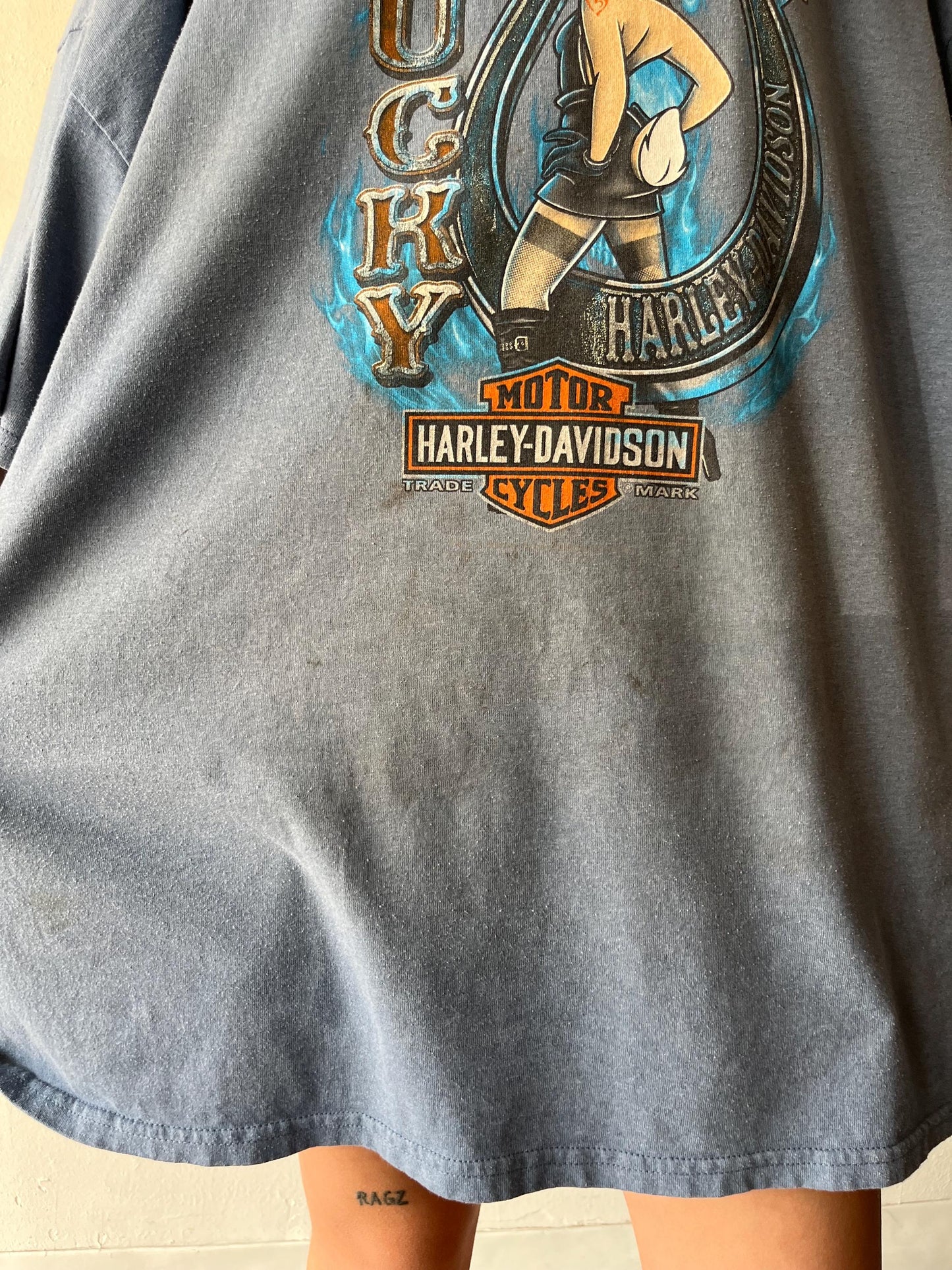 Vintage Looney Tunes Harley Davidson Shirt