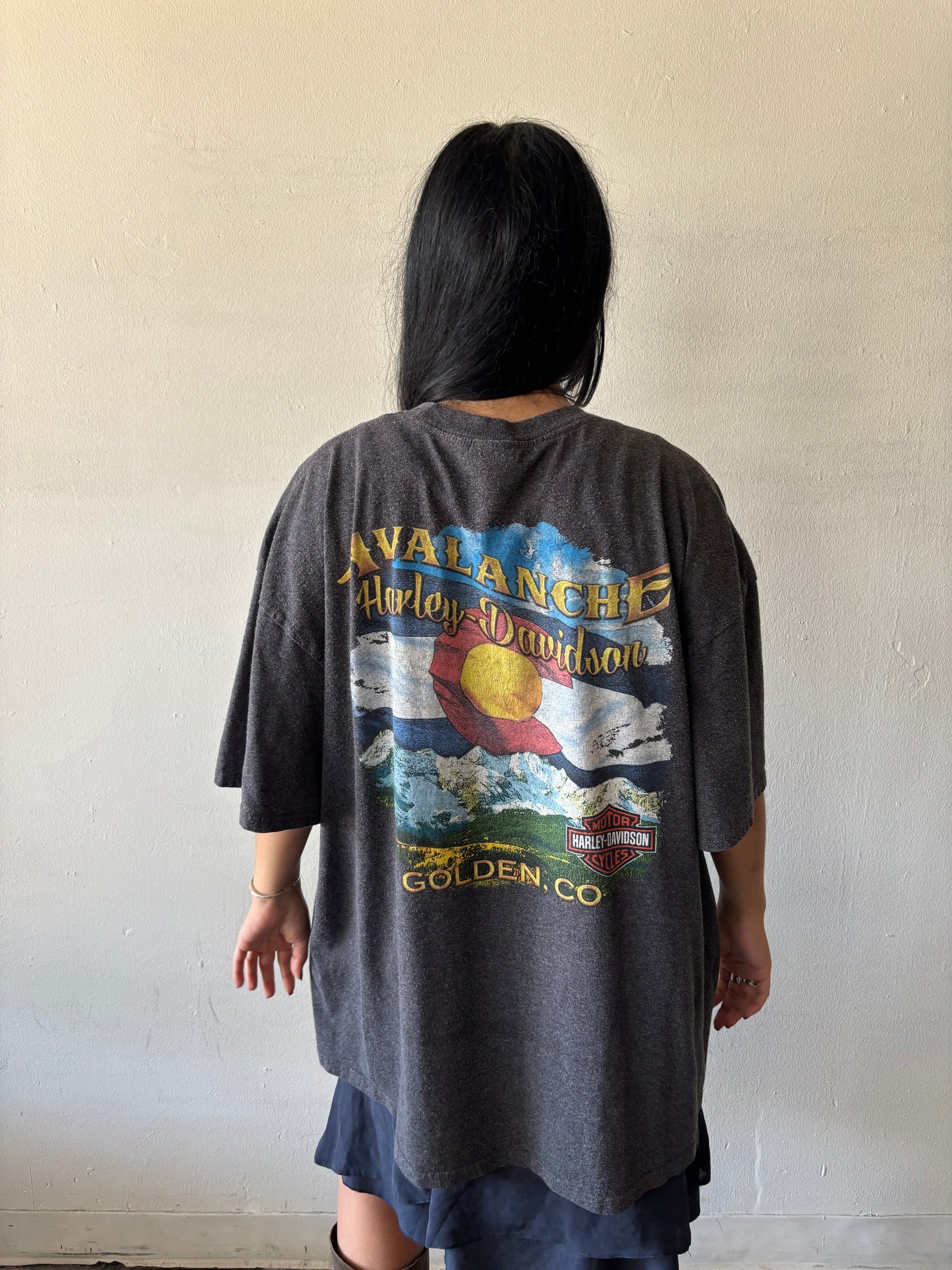 Harley Davidson Avalanches Shirt