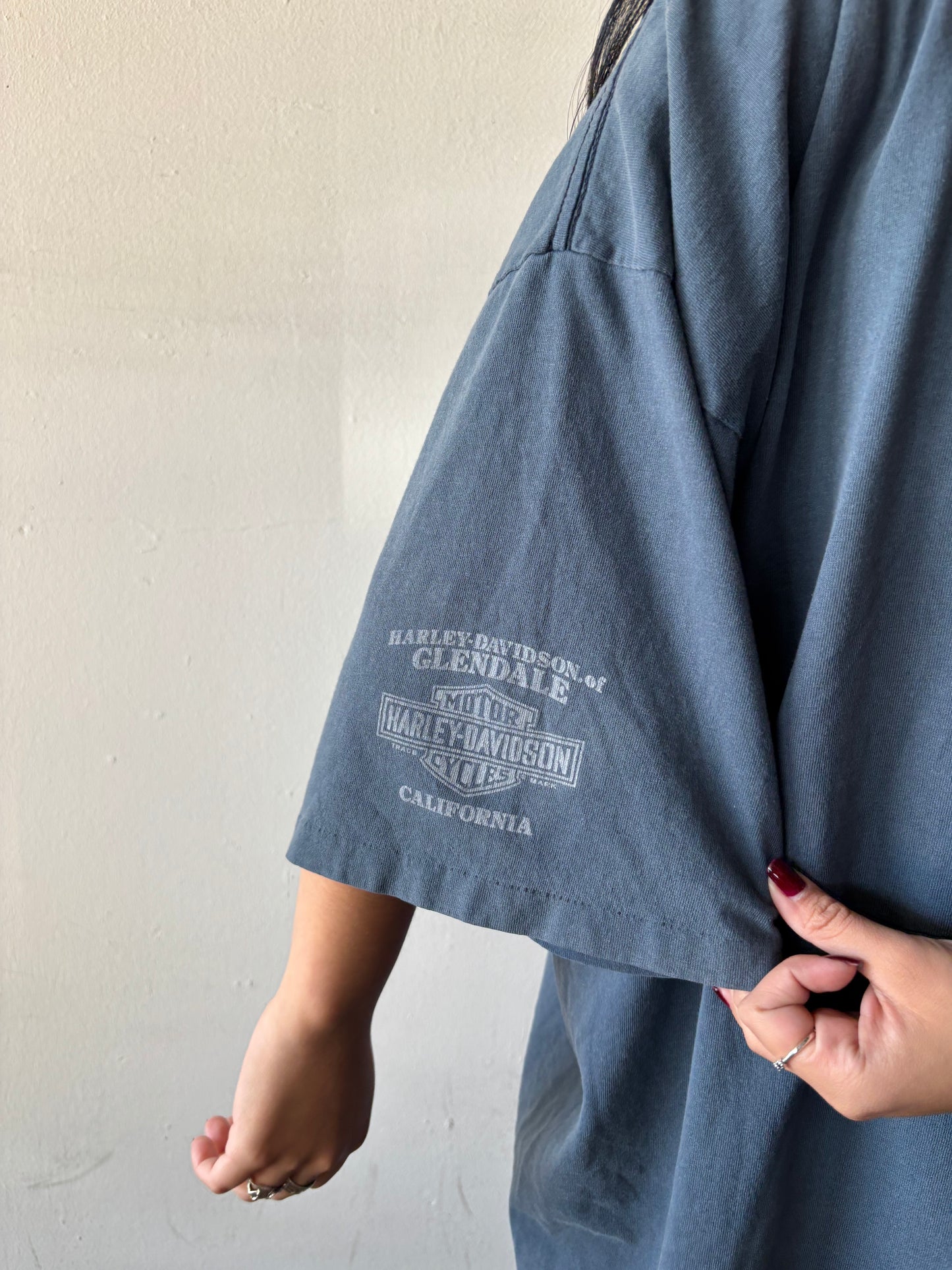 Harley Davidson Iron Head Shirt