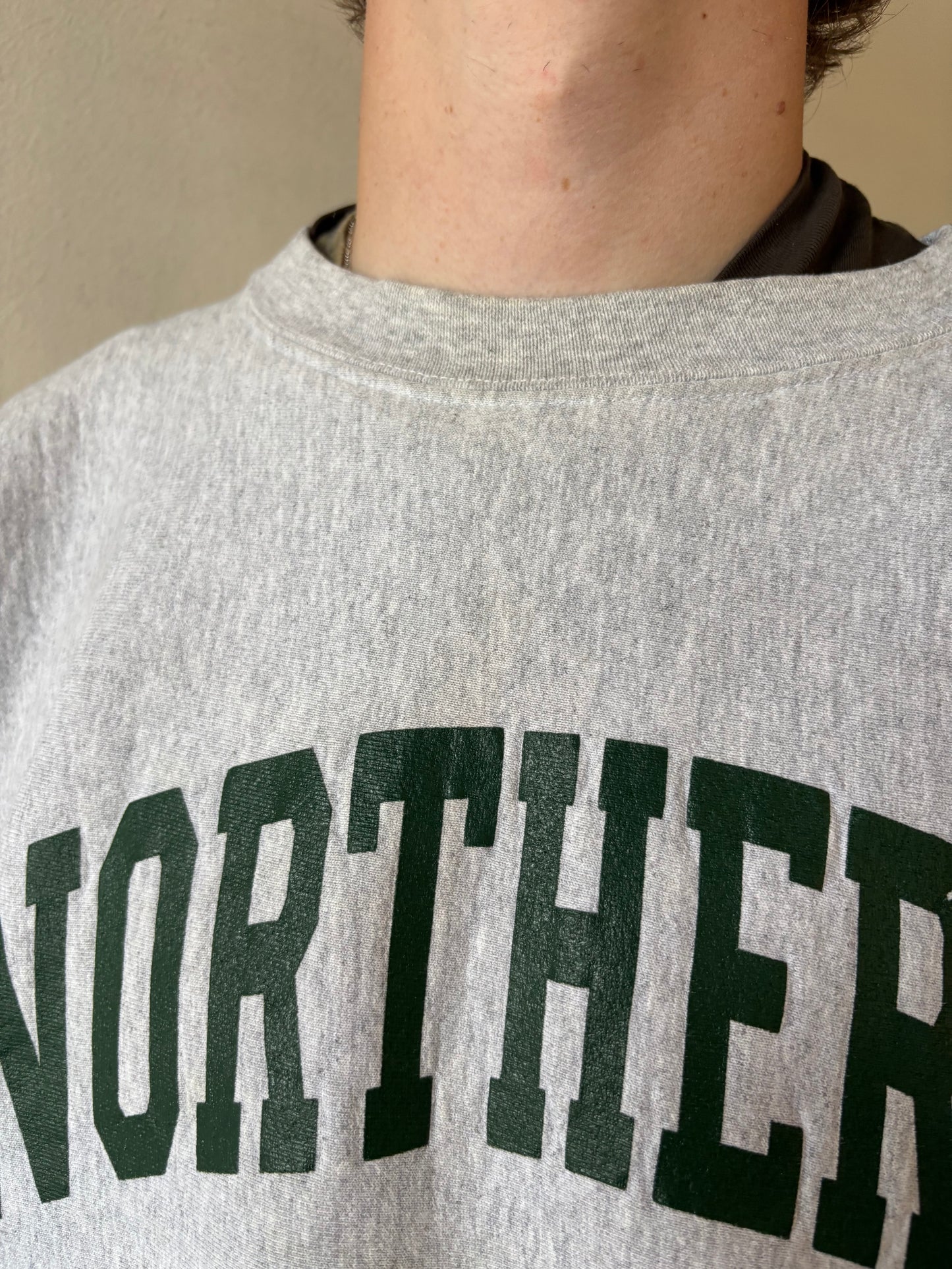 Vintage Northern Michigan Crewneck