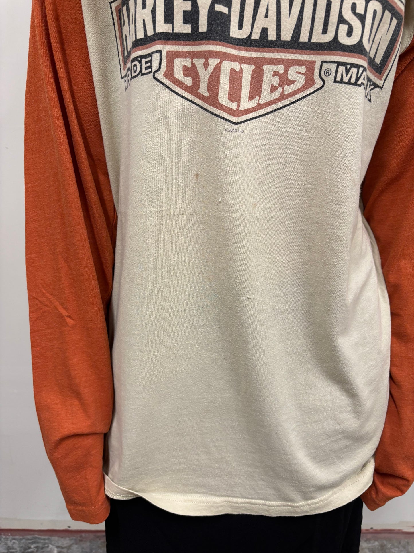 Vintage Harley Davison Texas Shirt