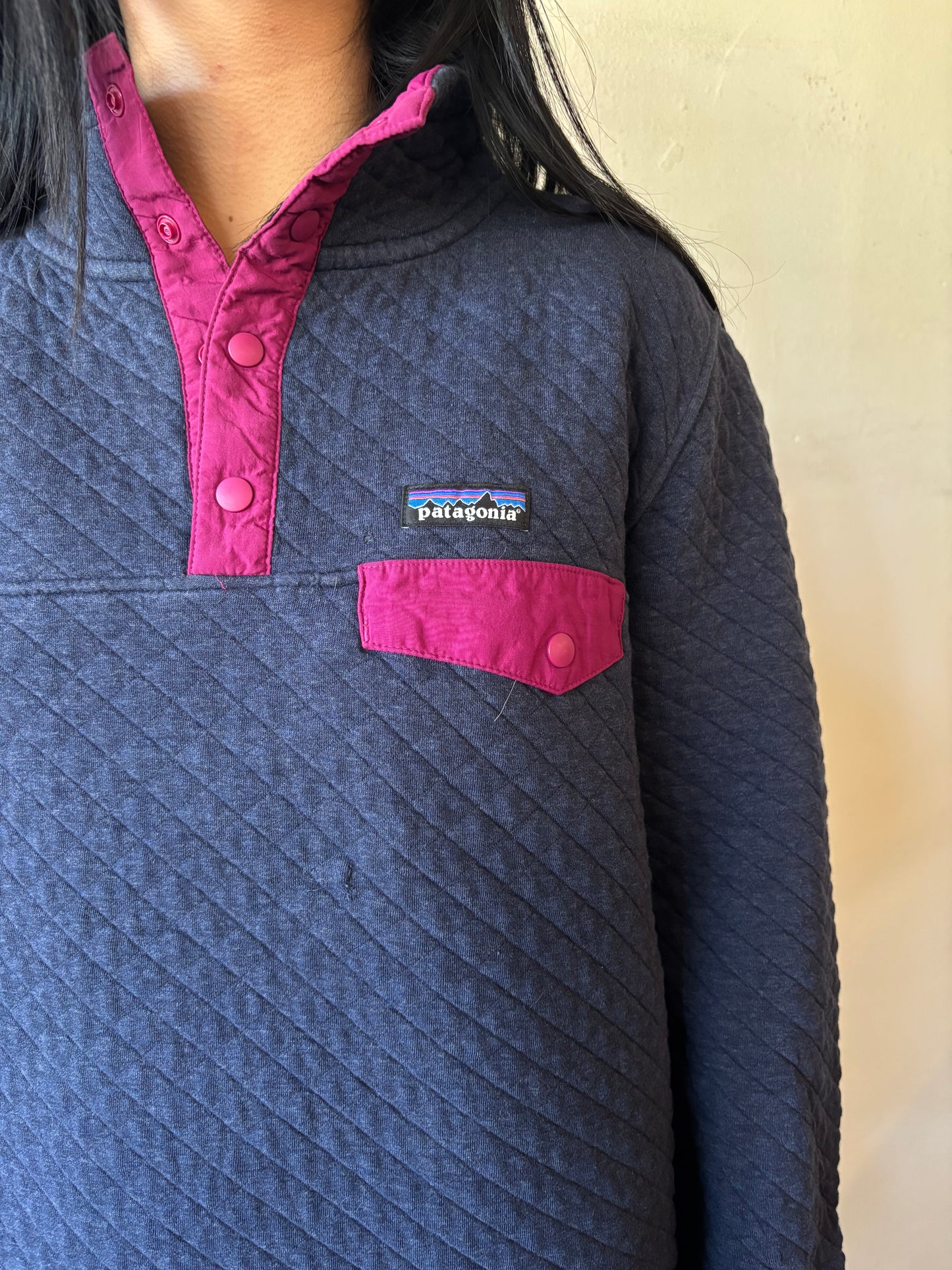 Patagonia Pullover